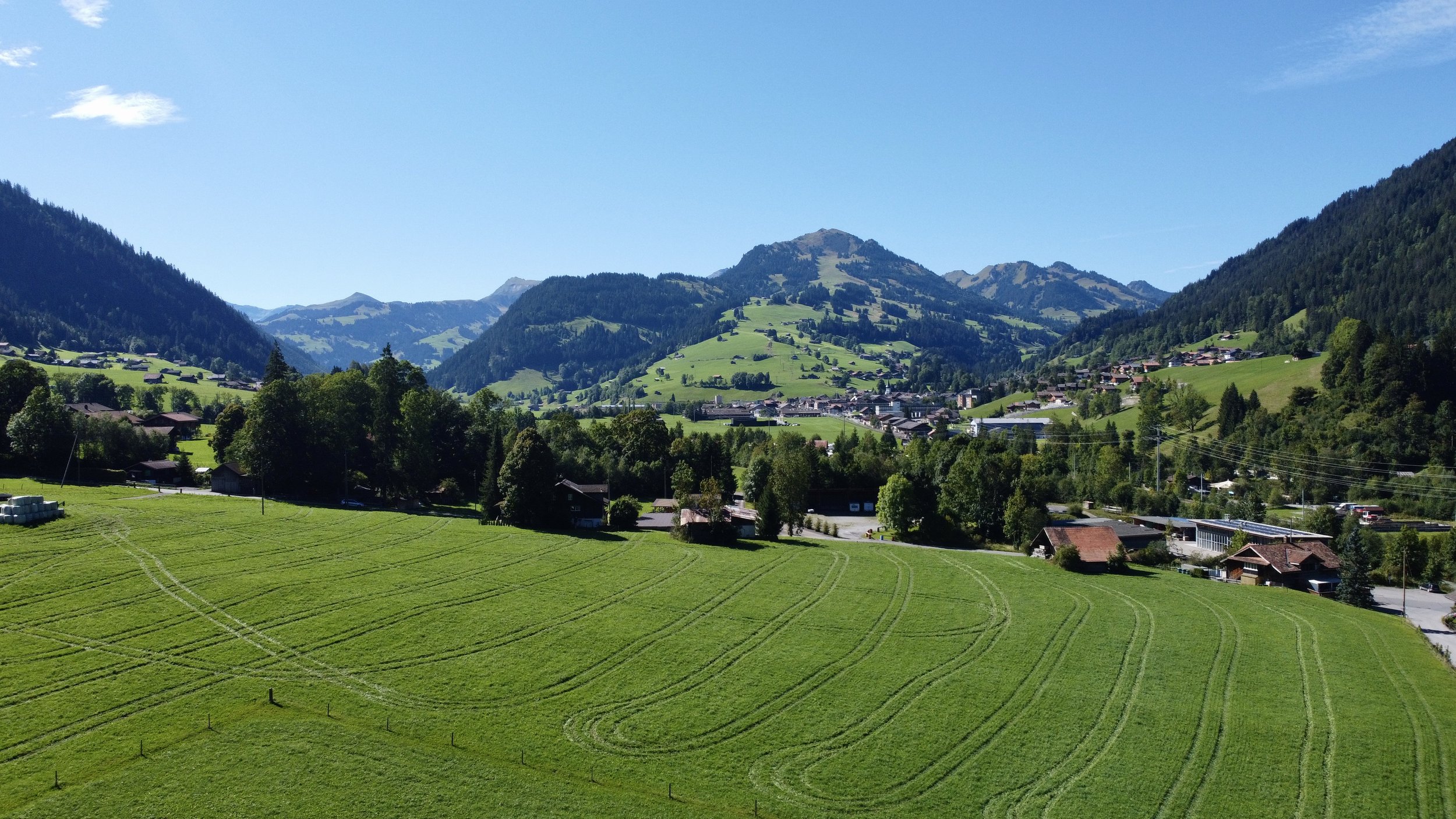 dji_fly_20250831_111408_546_1756631674739_photo_optimized 2.jpg
