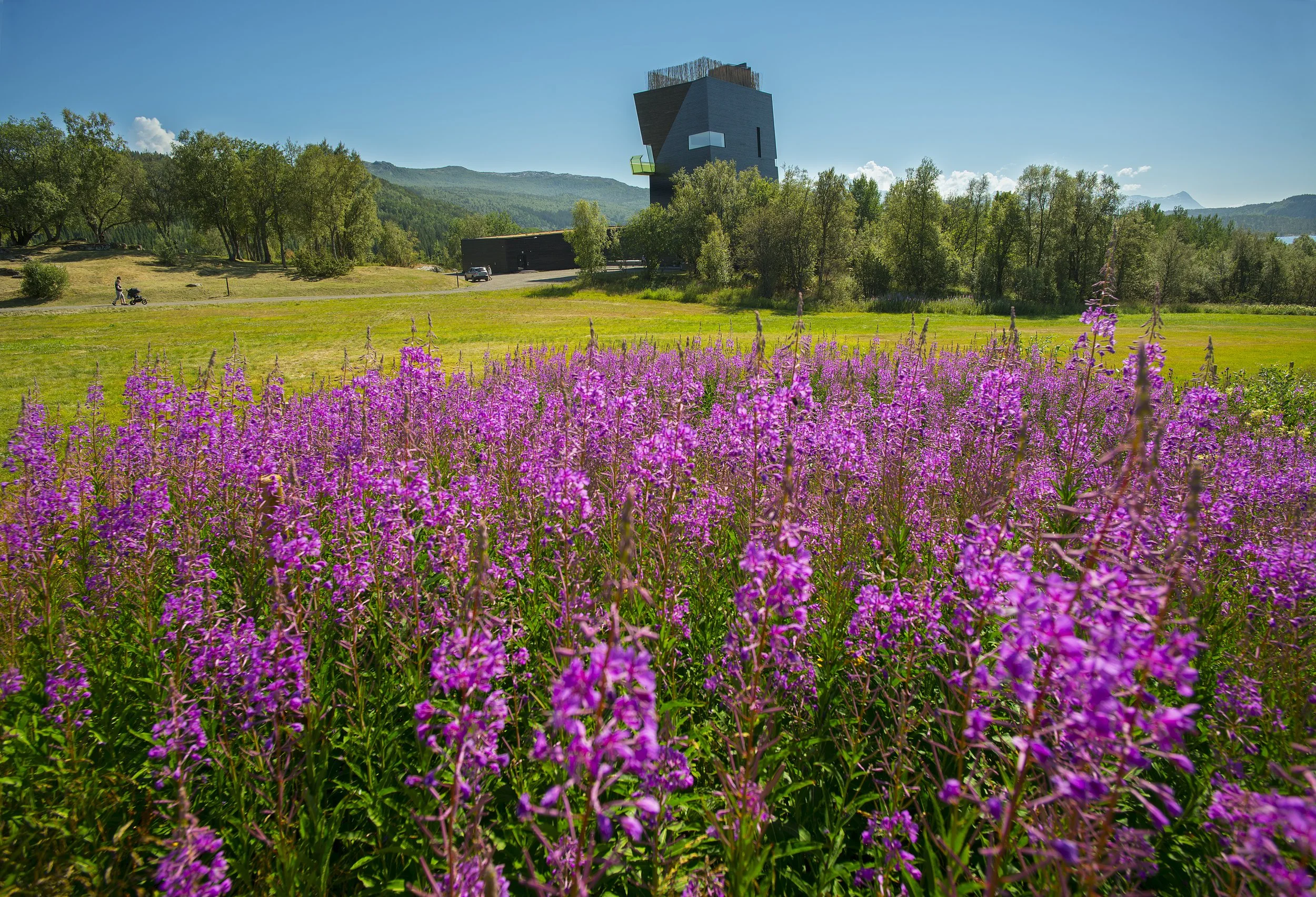 Fargerik blomstereng med en mørk modern bygning på bakke i bakgrunnen, omgitt av grønne trær og fjell under en blå himmel.