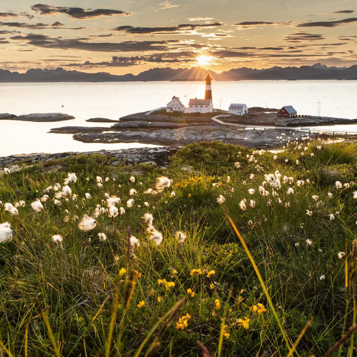 Fra Tranøy Fyr har man god utsikt mot Lofotveggen. Foto Ishah Lind-Hansen