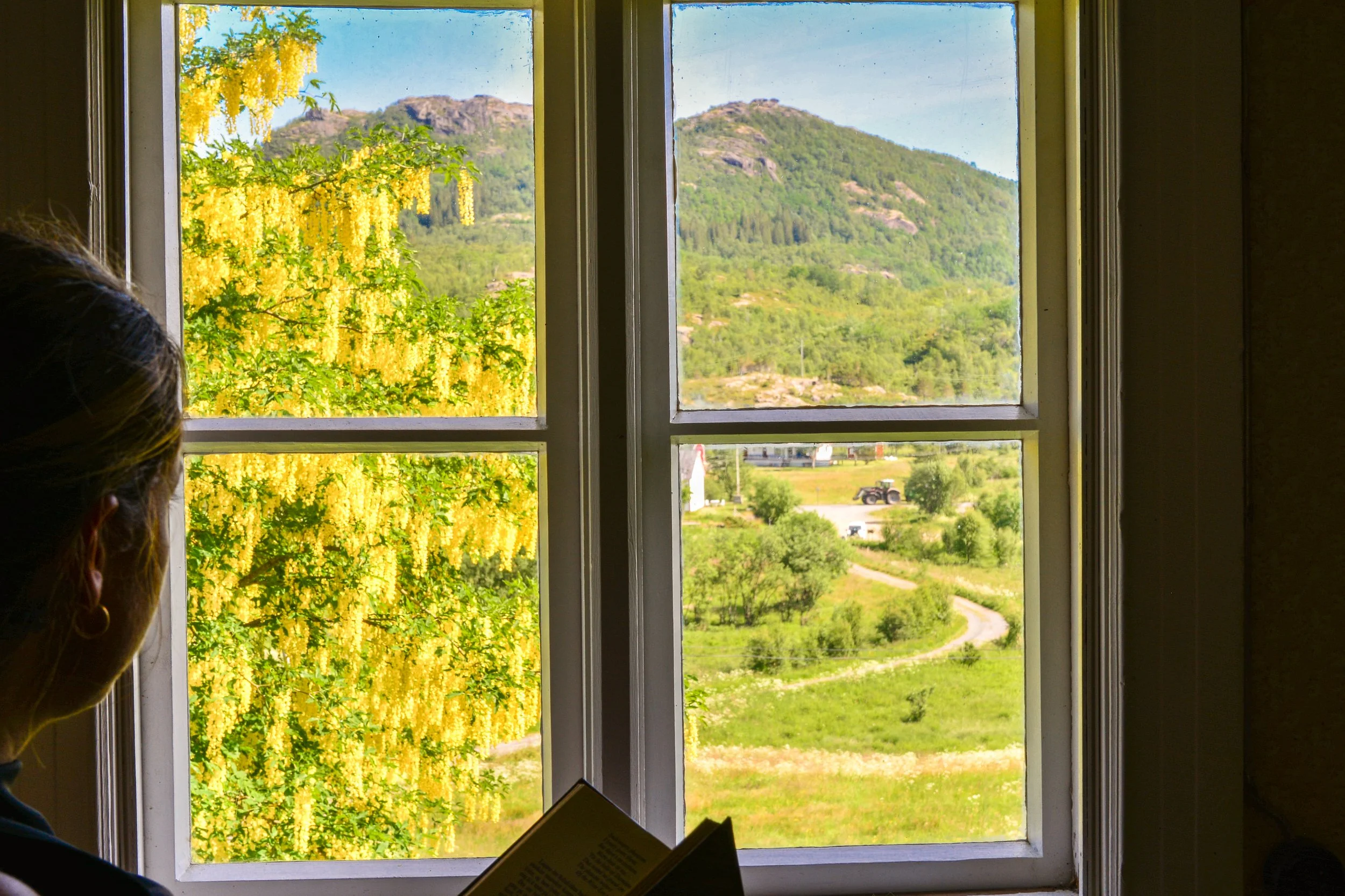 Utsikt gjennom et vindu med grønne åser og fjell i bakgrunnen, samt gule blomster hengende fra et tre utenfor. En person med brunt hår ser ut av vinduet og leser en bok.