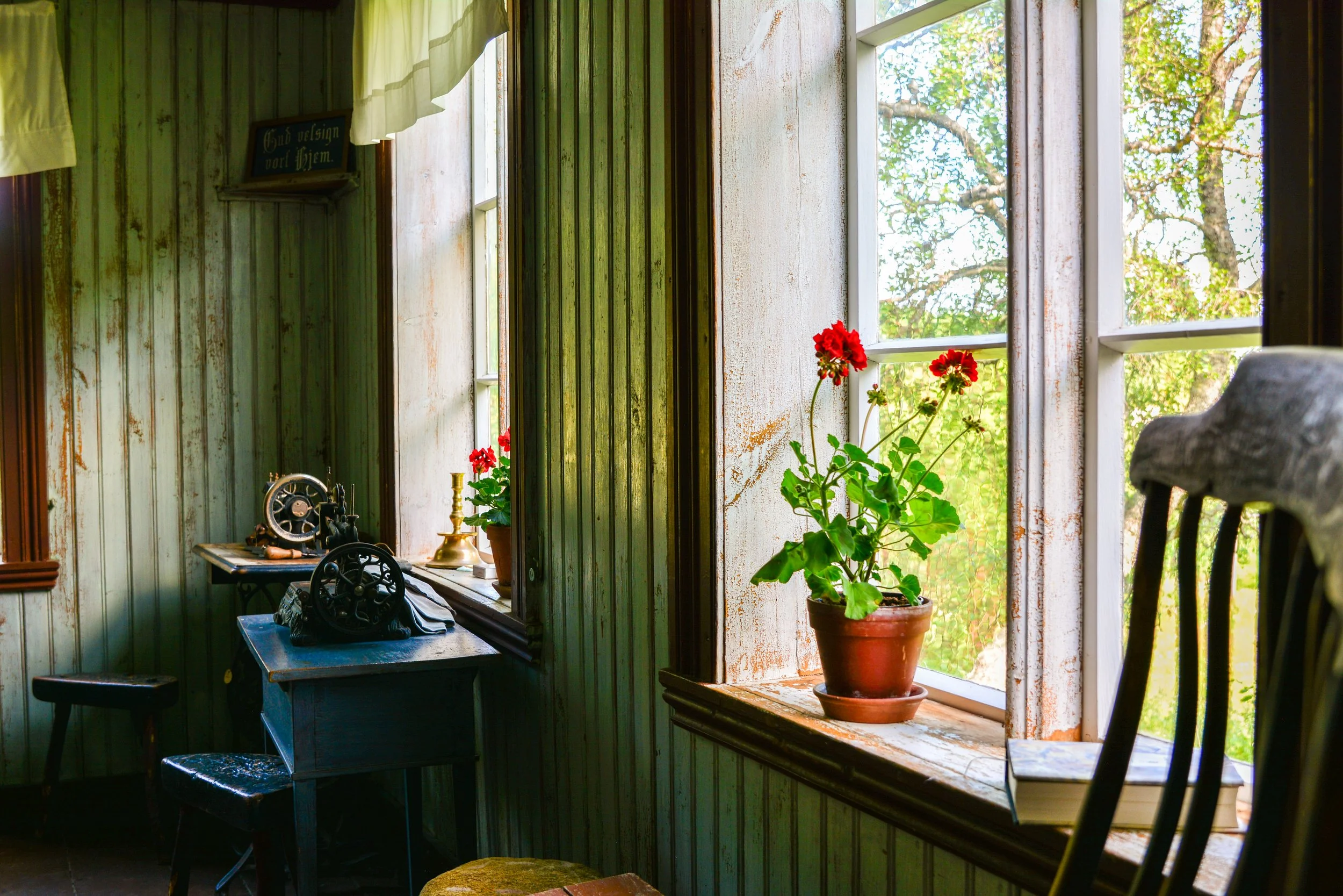 Interiør av et rom med grønne vegger, store vinduer, en pott med røde blomster på vinduskarmen, og en liten blå bord med noen gamle gjenstander på.