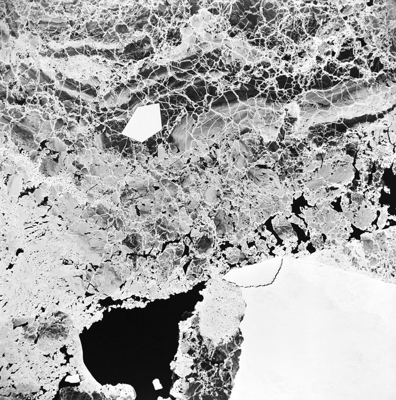 Daily Maverick: Art as the perceptual infrastructure of Antarctic governance