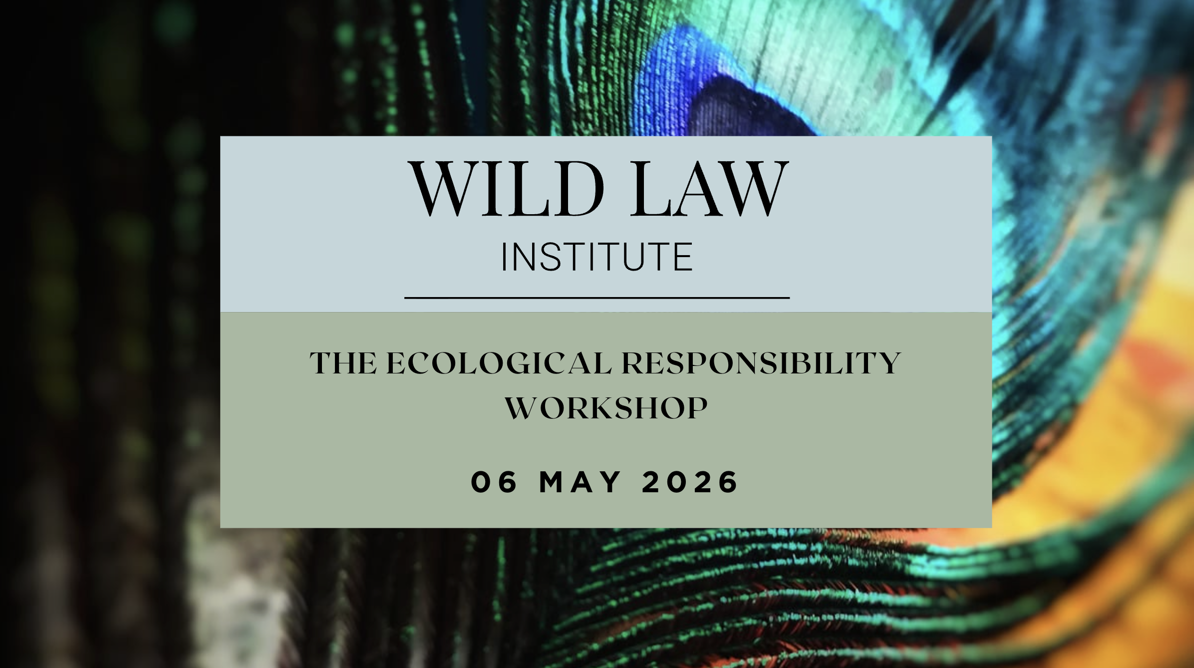 The Ecological Responsibility Workshop (2026)