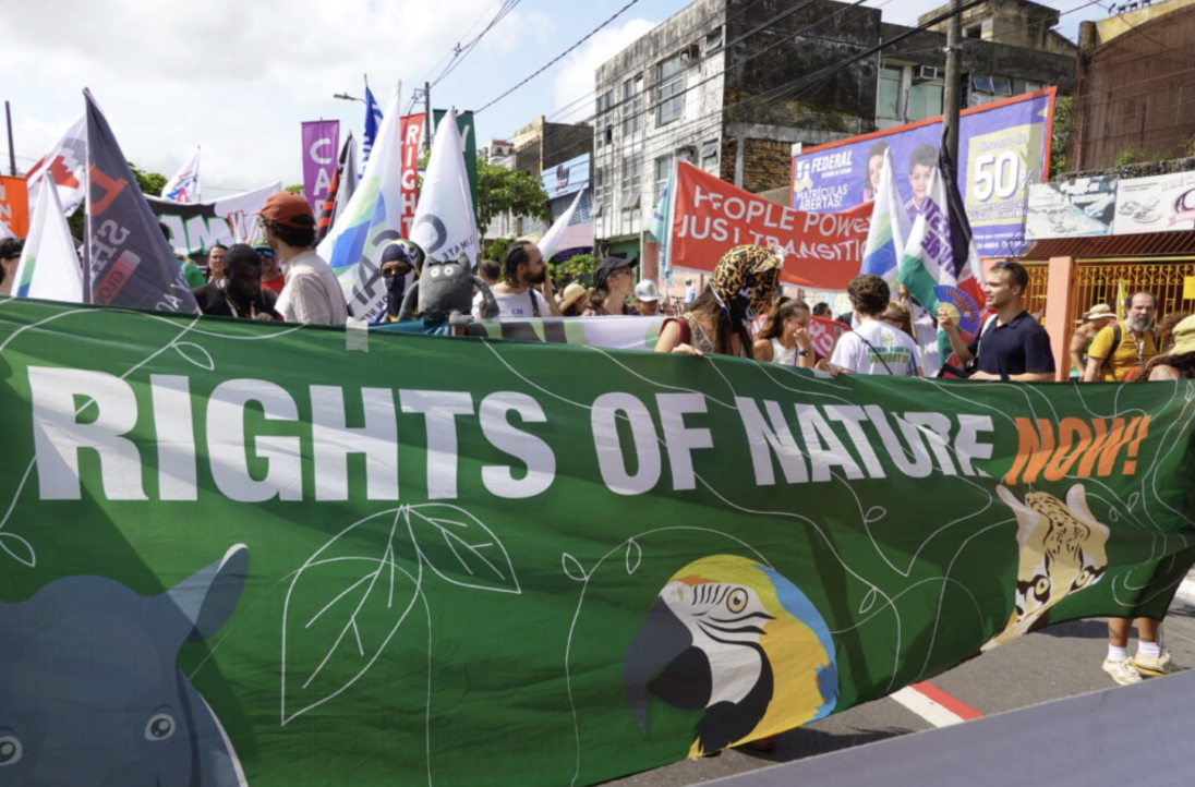 COP30: Rights of Nature Protests