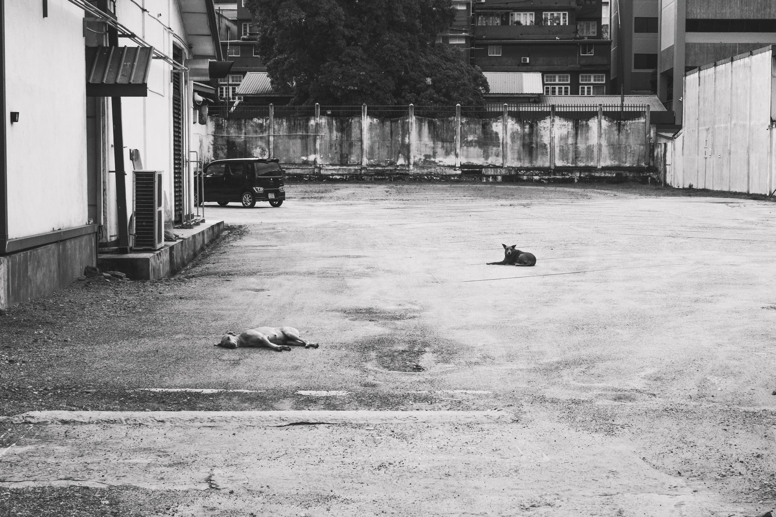 SRI LANKA TURYSTA-186.jpg