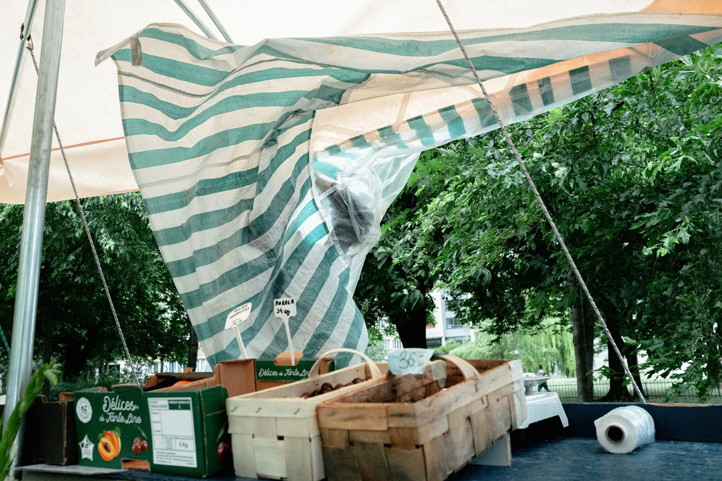 BARTLOMIEJ-SZPUNAR-2025-6-FOLIA-20.jpg