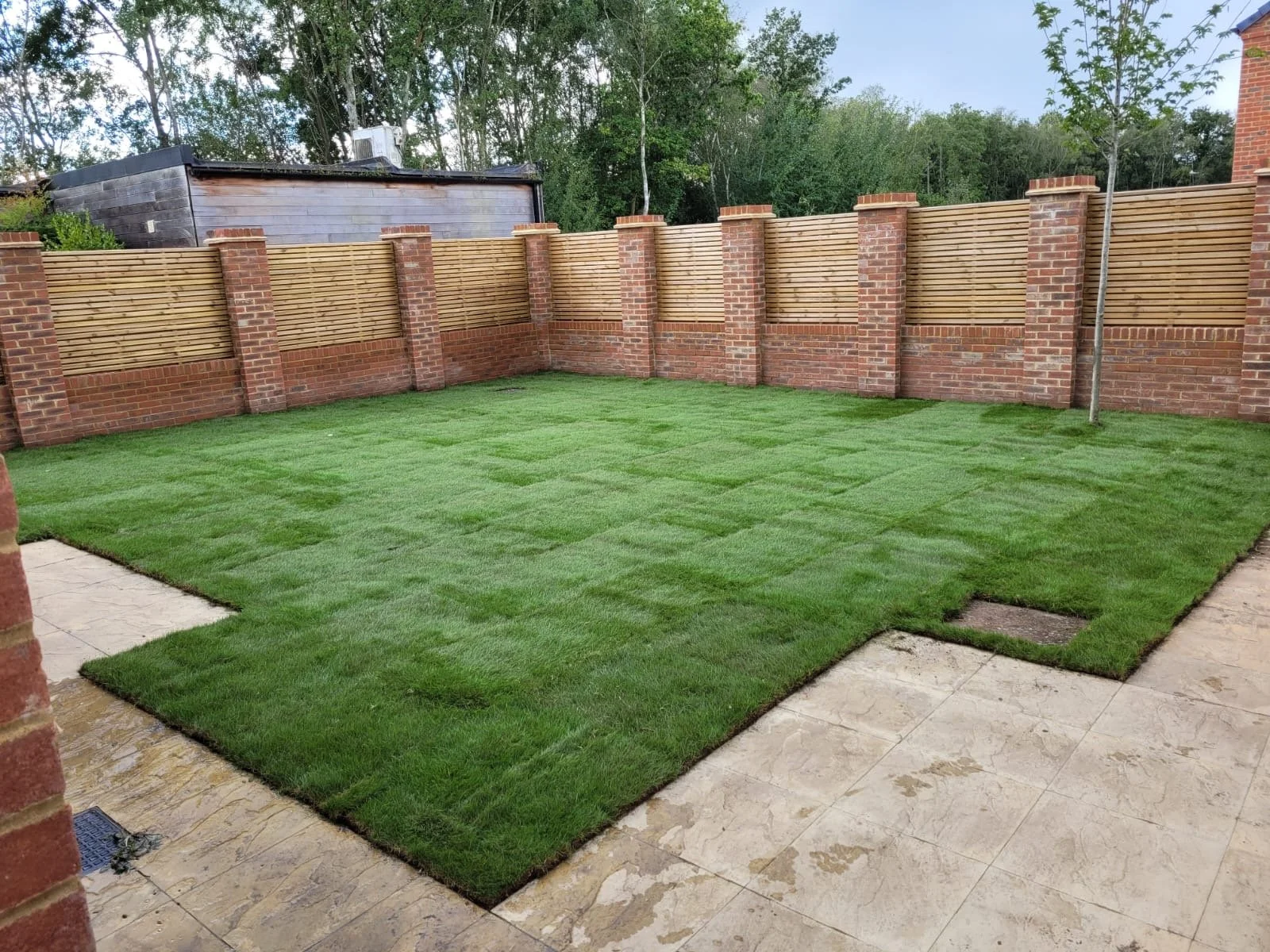 A backyard with freshly laid green grass, brick and wooden fence, and a small tree.