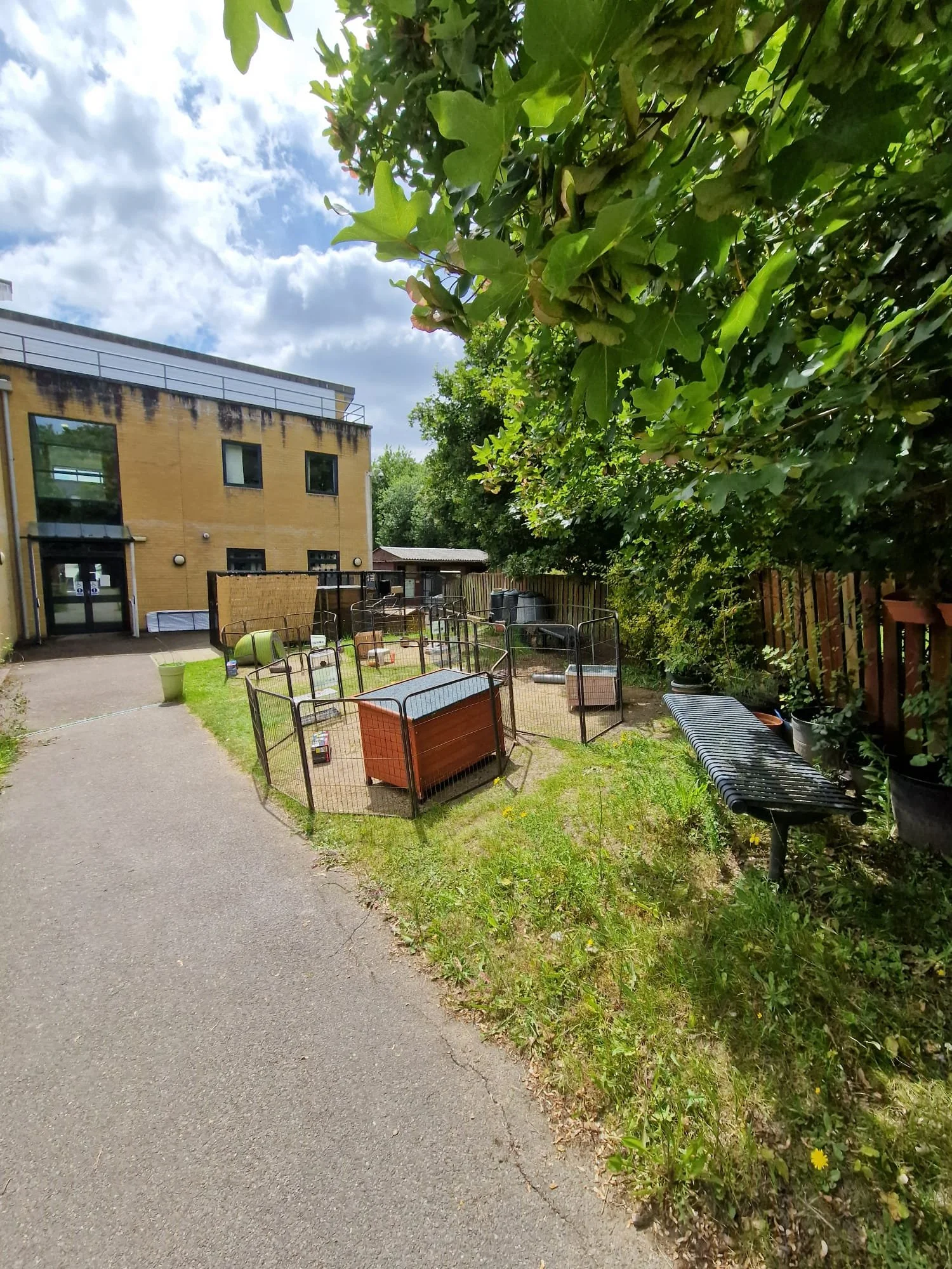 A small yard with a paved walking path, enclosed pet area with fencing, and a bench along a hedge, with a yellow brick building in the background and trees overhead.