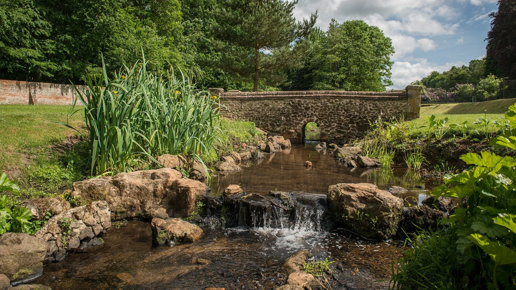 A small stone bridge over a stream in a lush green park with trees and grass.