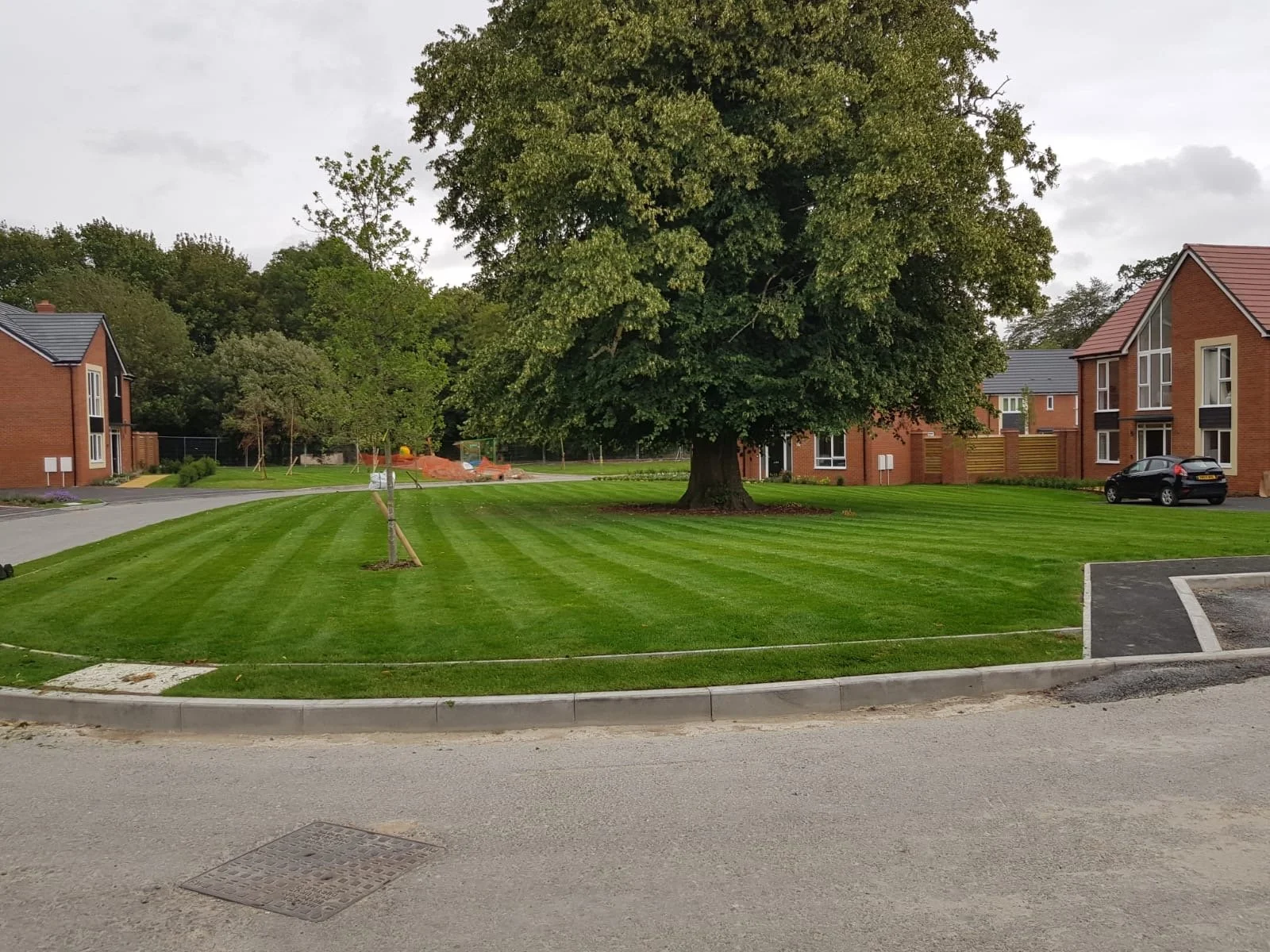 Well-maintained grassy lawn with striped pattern, a large tree at the center, residential buildings on the sides, and a cloudy sky overhead.