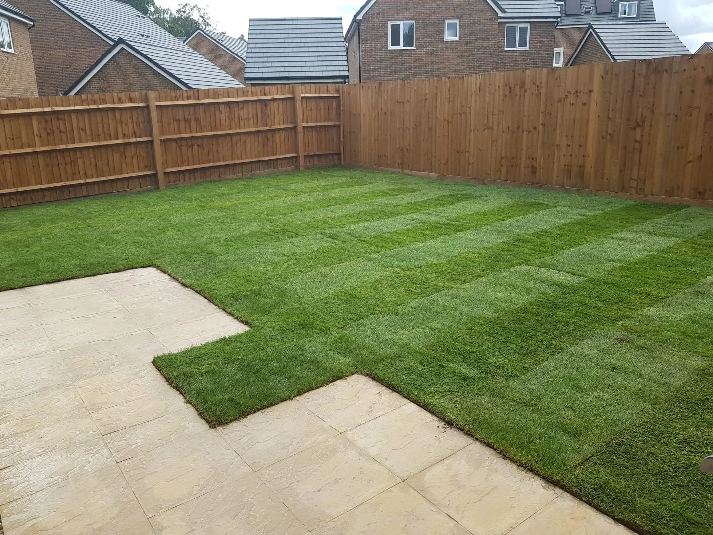 Backyard with freshly laid green grass in alternating stripes, bordered by a brown wooden fence, with a patio area with beige tiles in the foreground and neighboring houses in the background.
