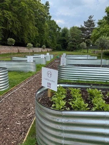 Community garden with metal raised beds filled with leafy greens, surrounded by trees, with a sign that says "I would love someone".