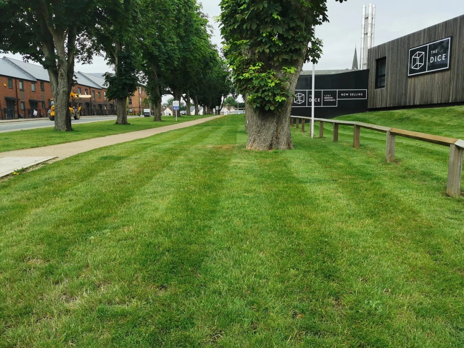 A grassy park area with trees lining a sidewalk, and a modern building with signage in the background.