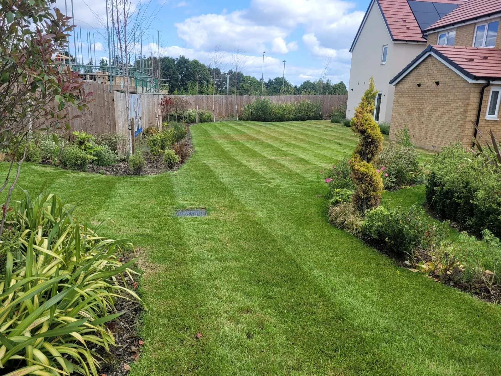 A well-maintained backyard with a lush, striped green lawn, surrounded by various plants and shrubs, with a modern house featuring brick and white exterior walls on the right. A wooden fence borders the yard on the left and back side, with some const