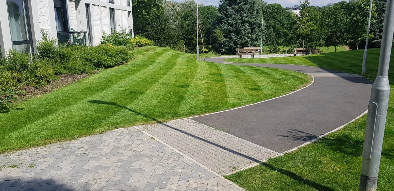 A winding sidewalk runs through a grassy area with neatly trimmed lawns and shrubs. There are tall trees in the background and a building with white walls on the left side. A park bench can be seen in the distance, and streetlights cast shadows on th