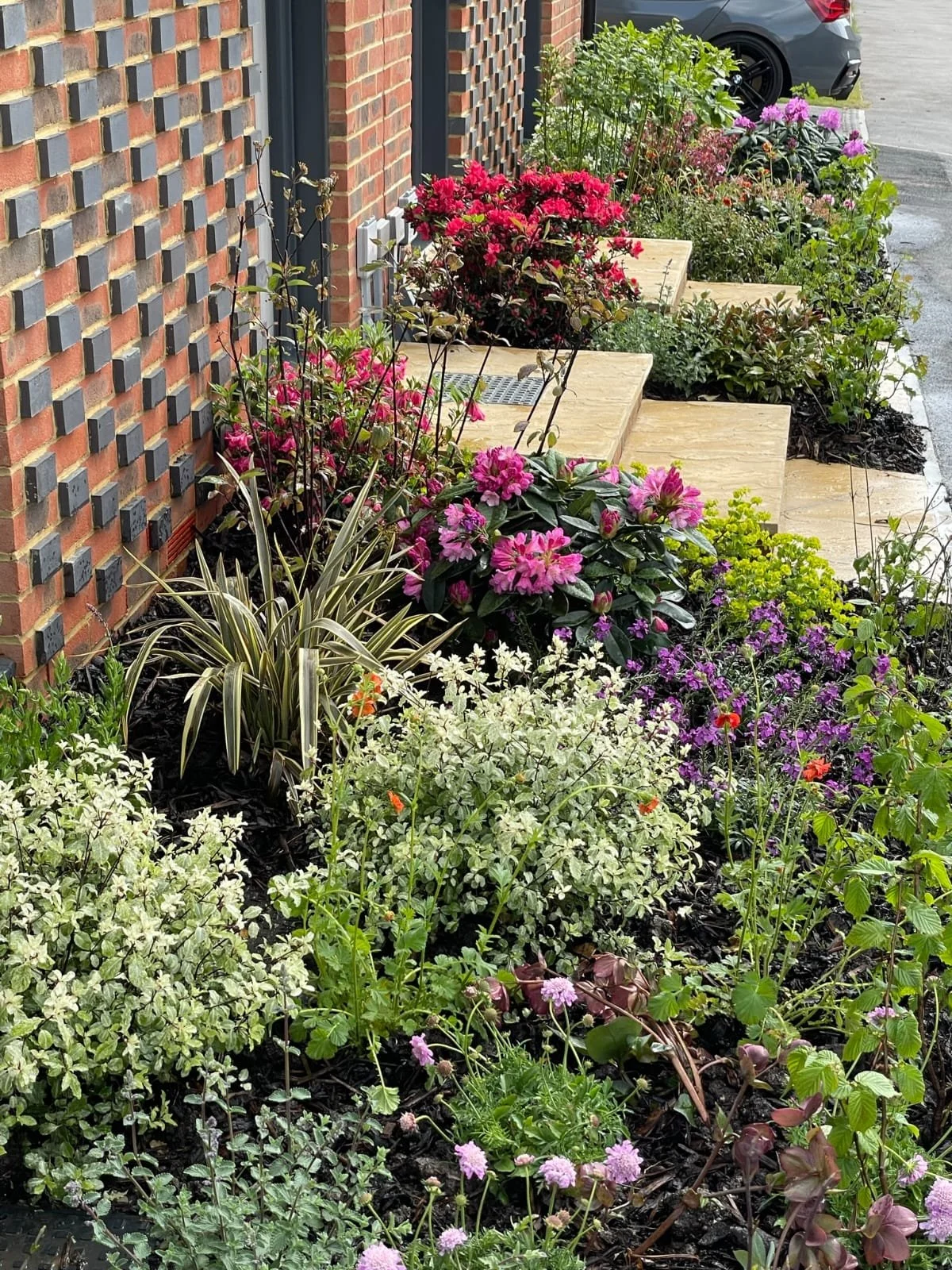 Colorful flower bed with pink, purple, and white flowers alongside a brick wall on a sidewalk.