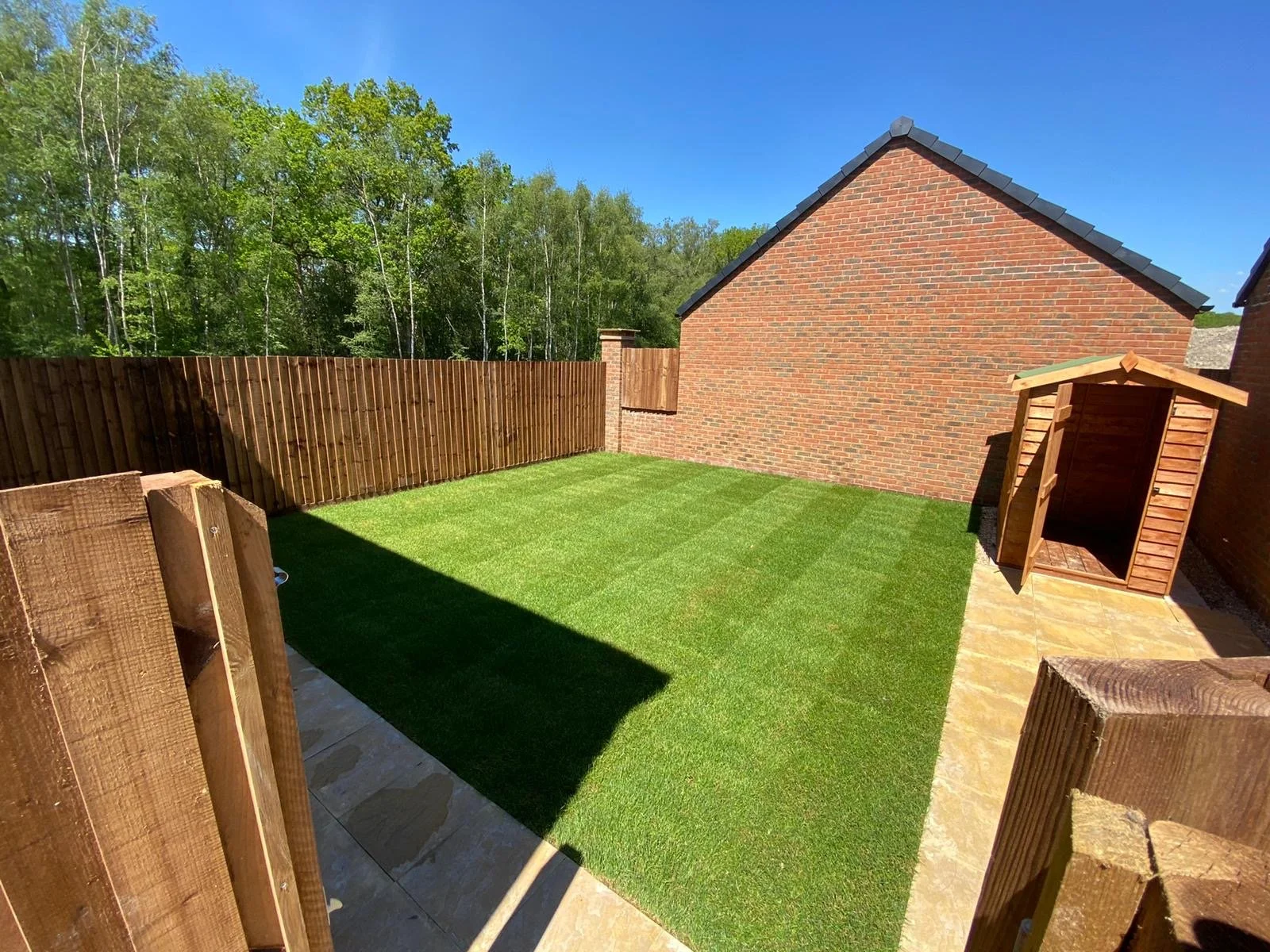 A fenced backyard with freshly laid green grass, a small wooden shed, brick walls, and trees in the background under a clear blue sky.
