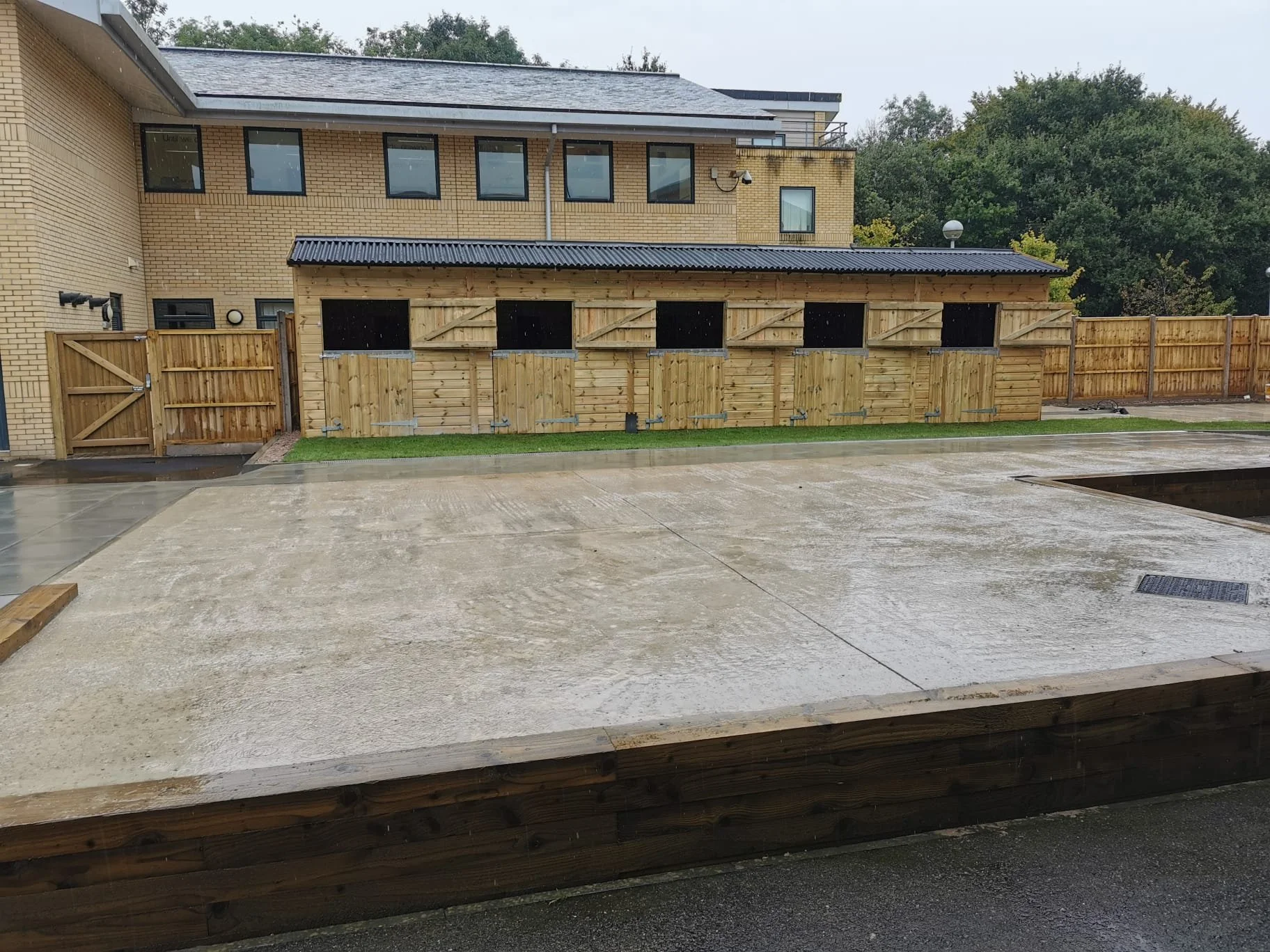 A backyard scene showing a new wooden shed or enclosure with five small doors, most of them closed, against a multi-story brick building. The ground in the foreground appears wet, possibly from recent rain, with a concrete patio area.