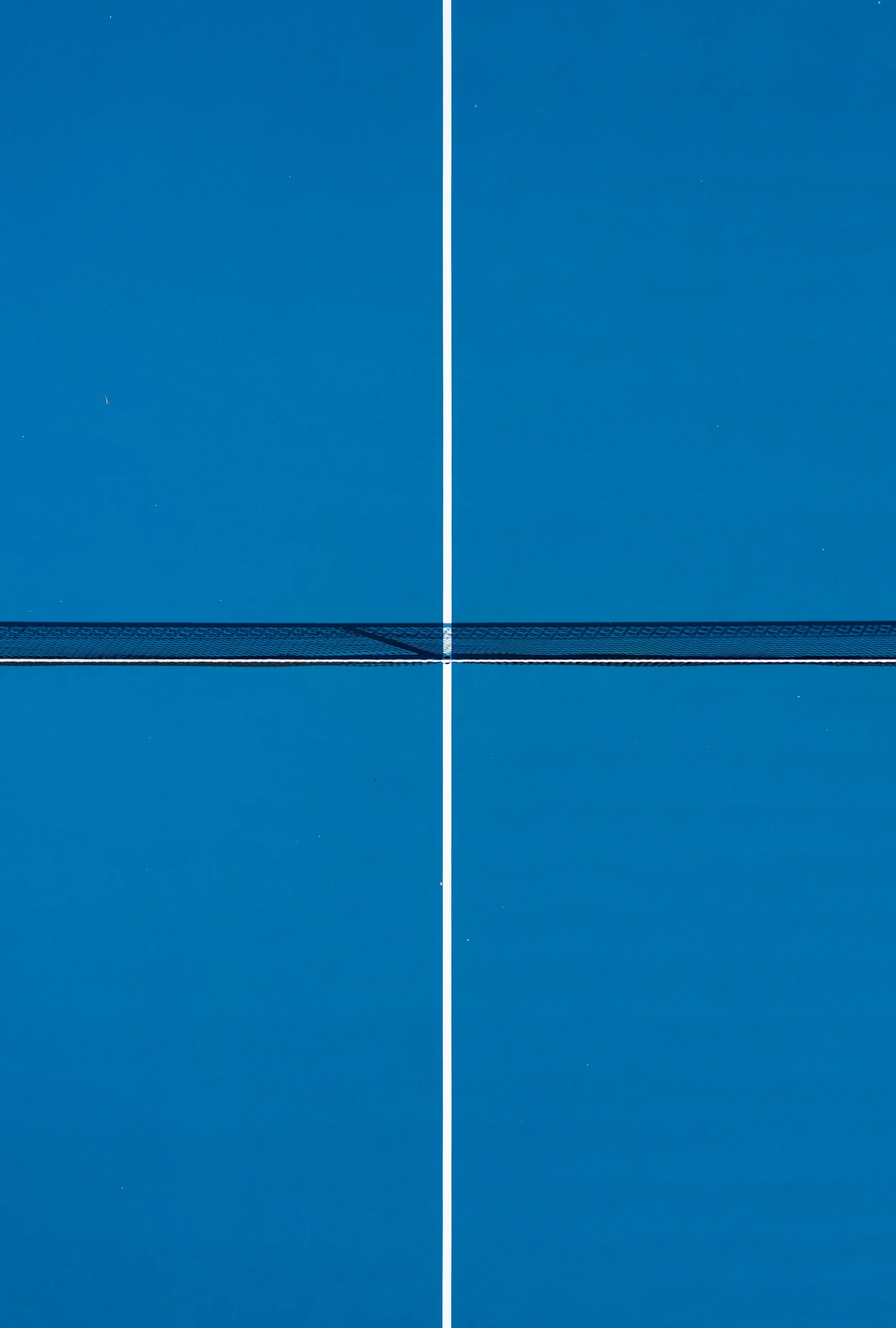 Two people standing in front of a bookshelf and colorful wall art, smiling and looking at each other. The woman has long hair, is wearing a black t-shirt and jeans, and sandals. The man has short hair, glasses, is wearing a black t-shirt and khakis, and sneakers.