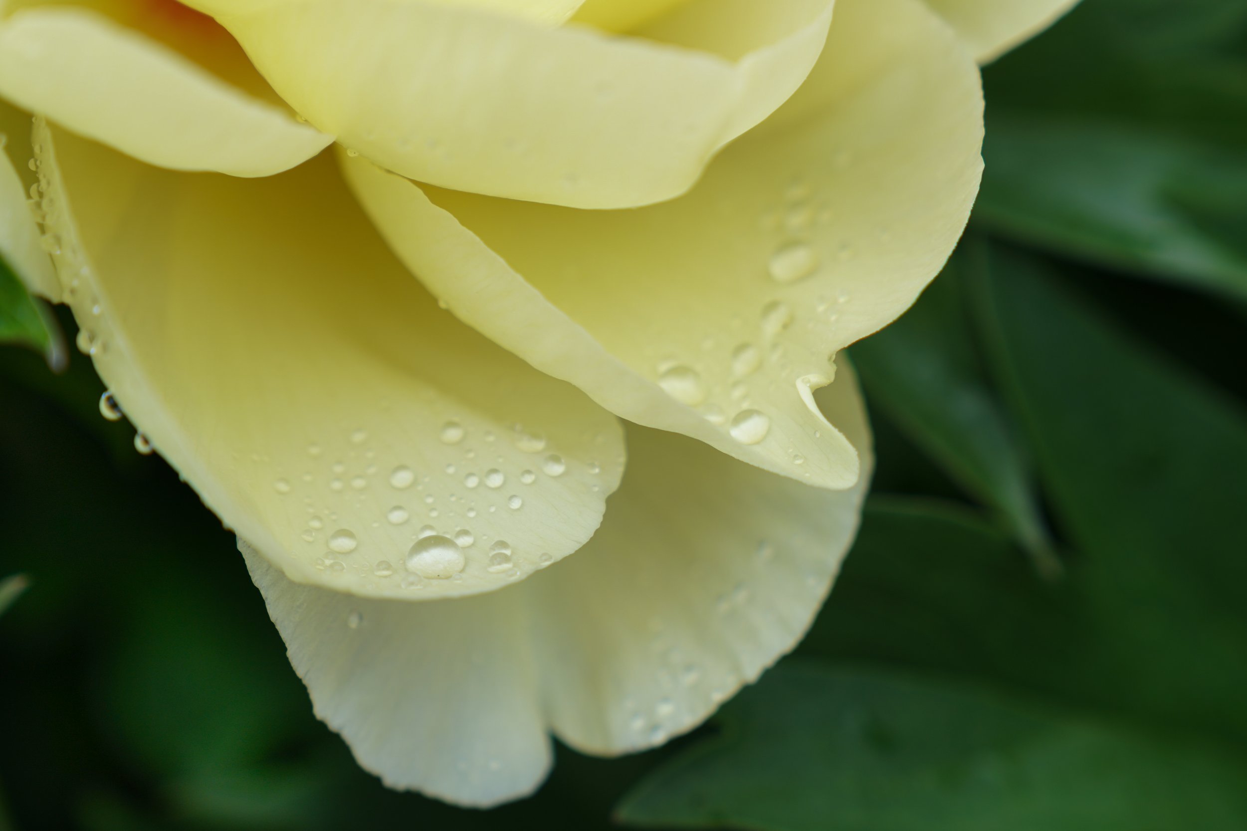 DSC05632.jpg