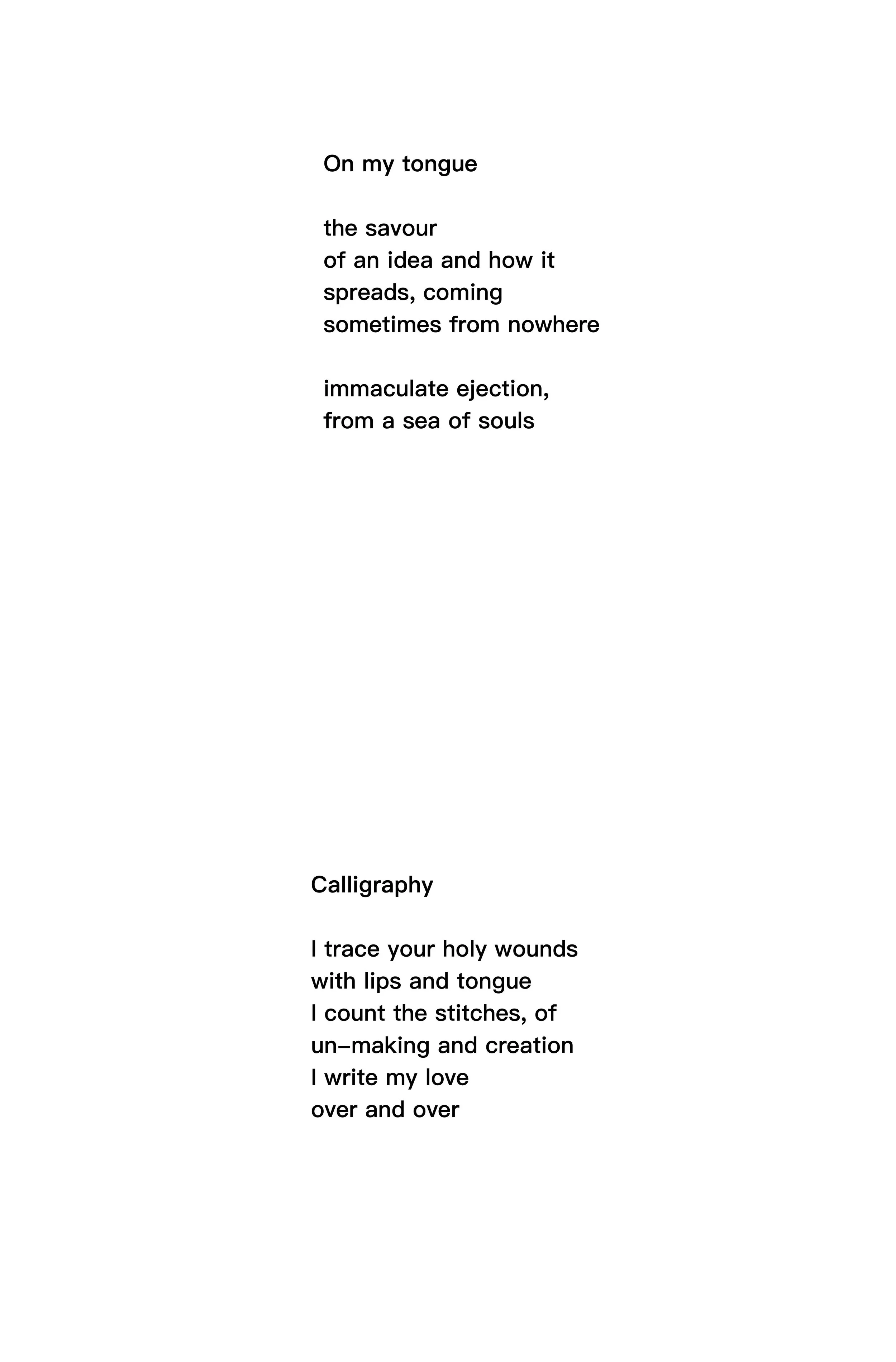 shortcomings pages for tfp website D 261006.jpg
