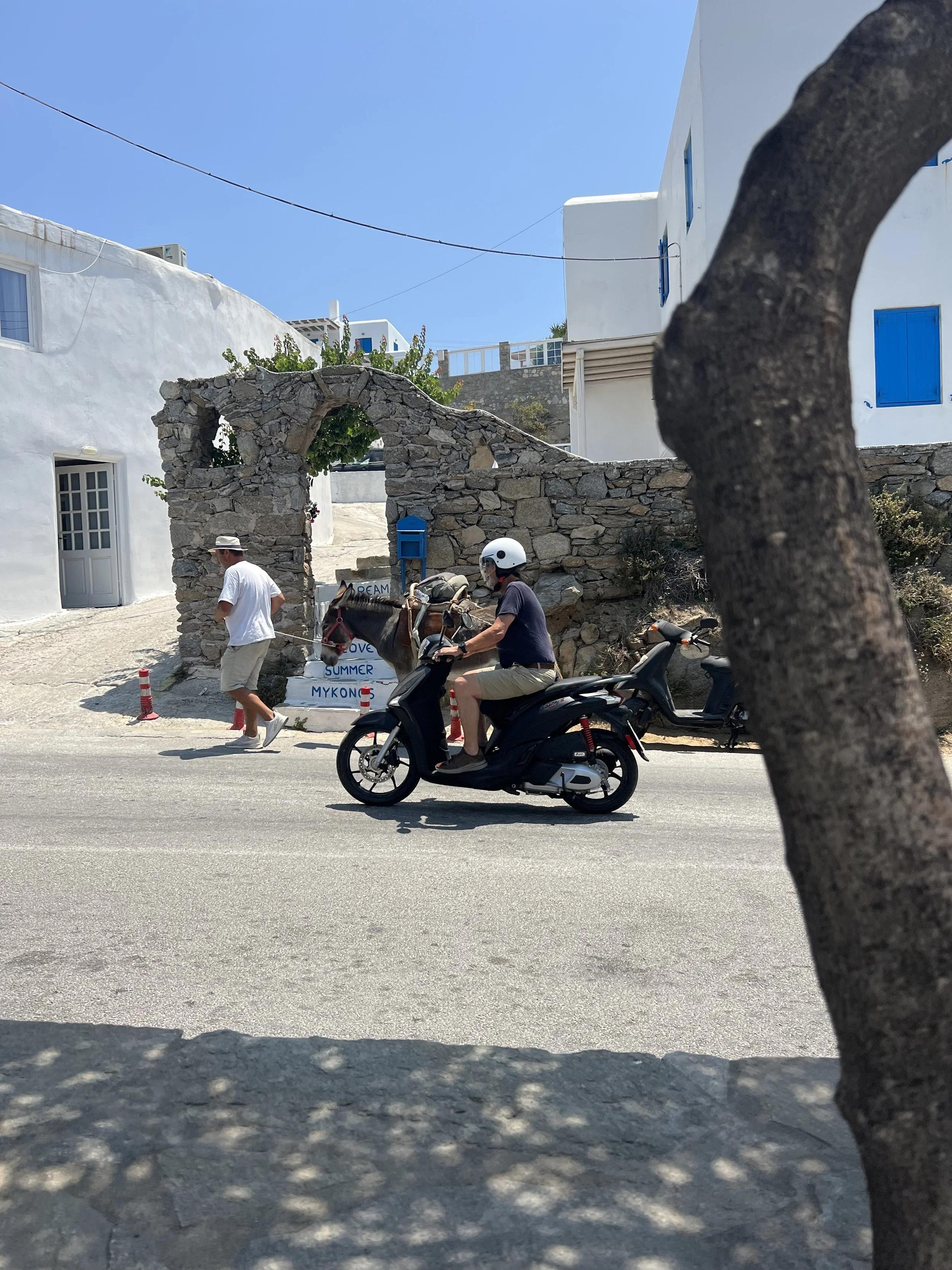 IMG_8505.jpg