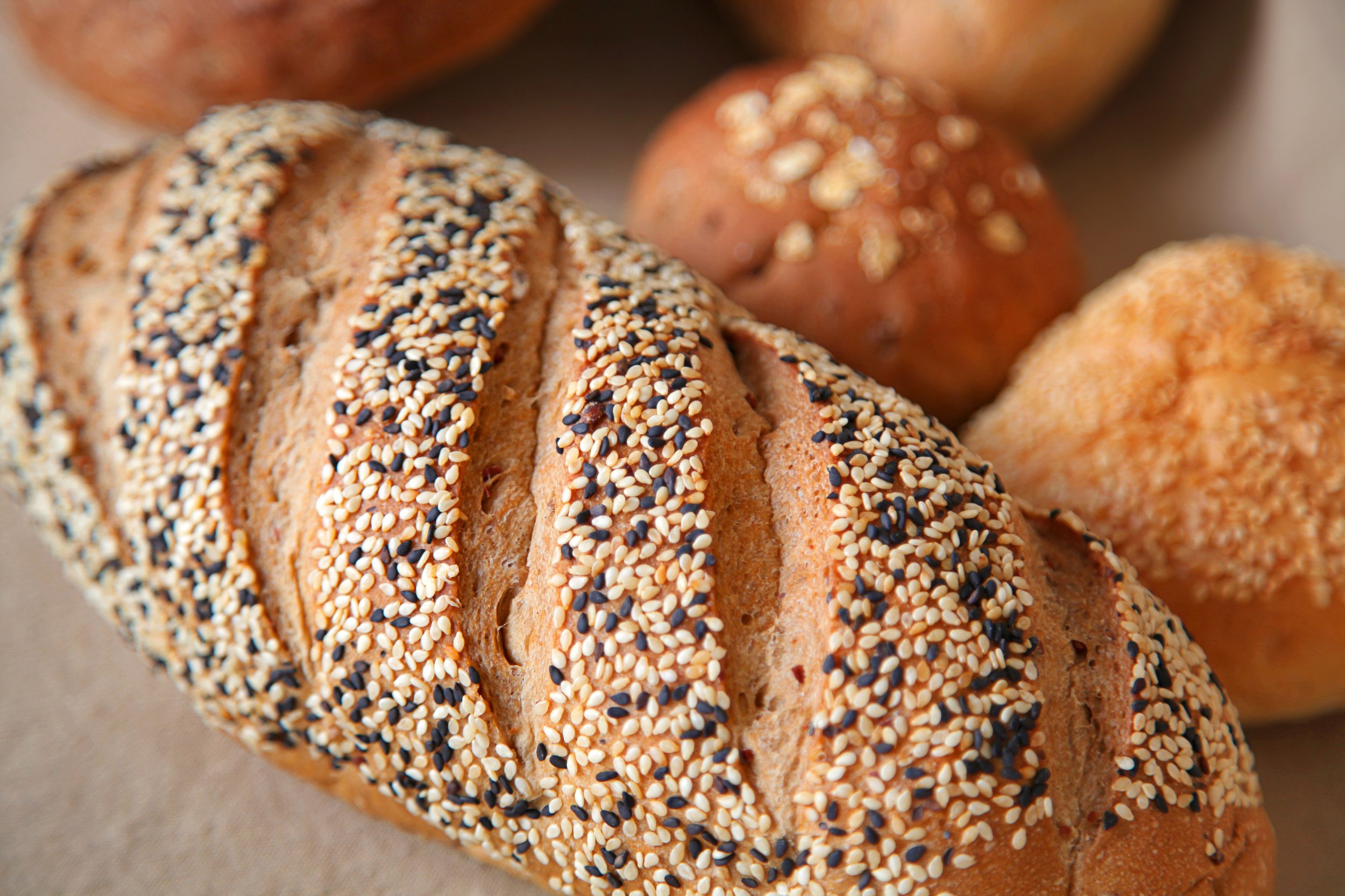 Fresh Bread Collection