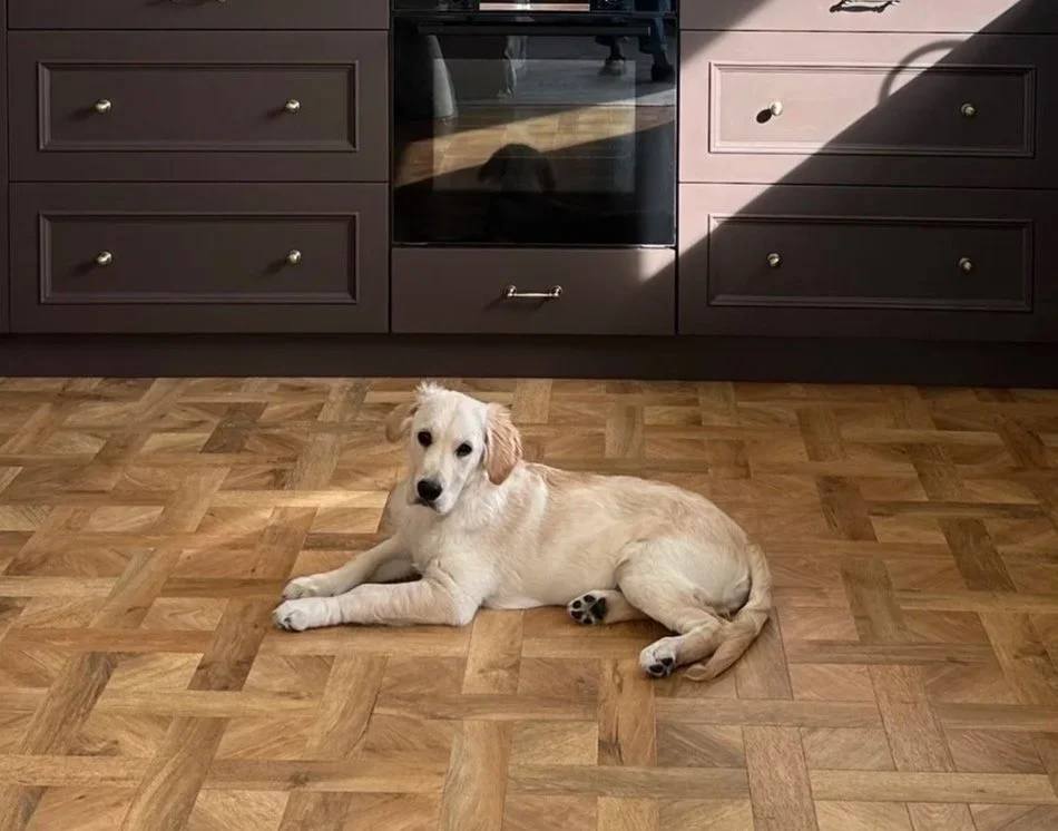 A light-colored puppy lying on a wooden kitchen floor in front of dark kitchen cabinets and an oven.