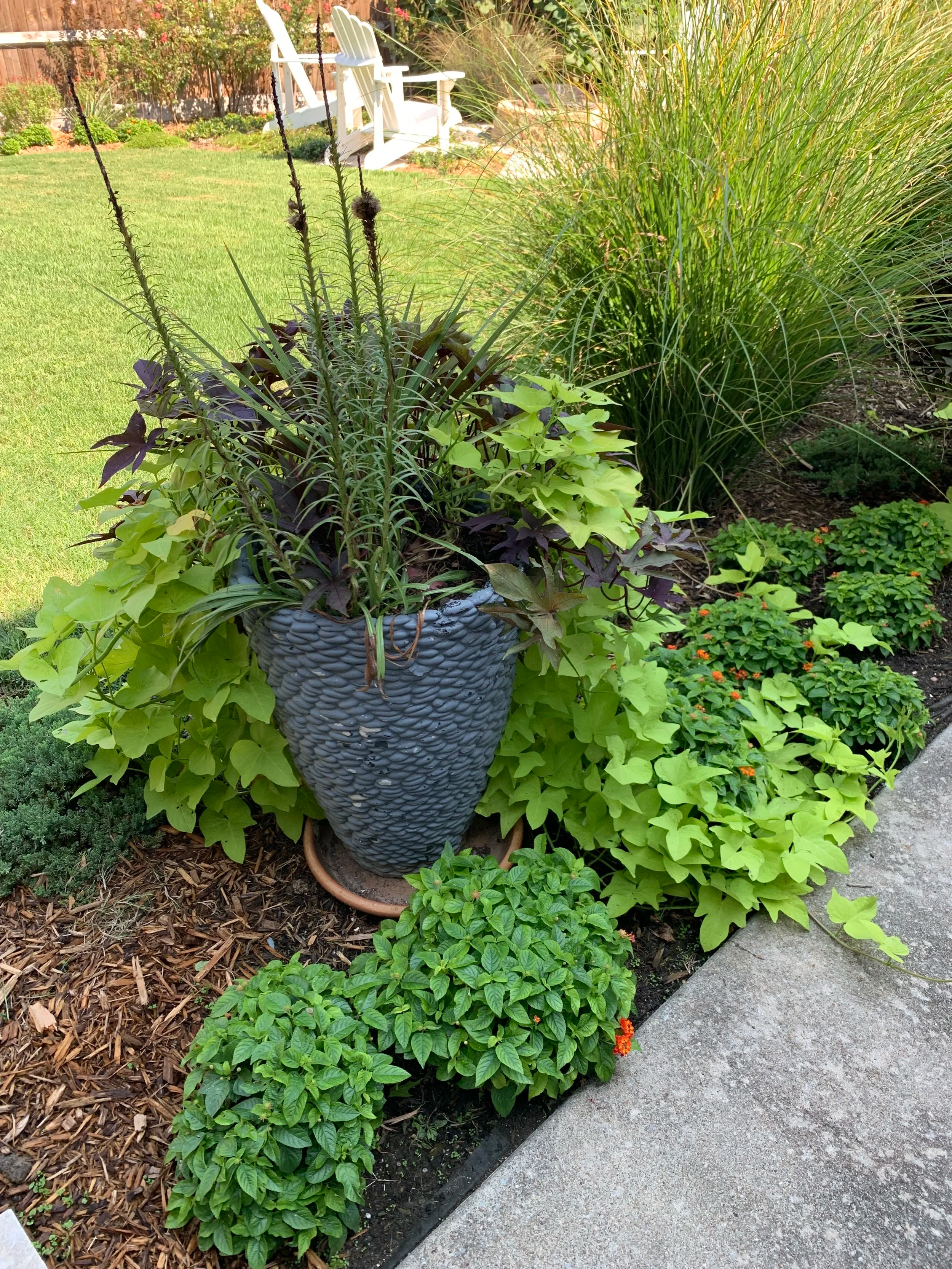 Landscape: Ornamental container gardening used to add texture and focal points to the transition areas