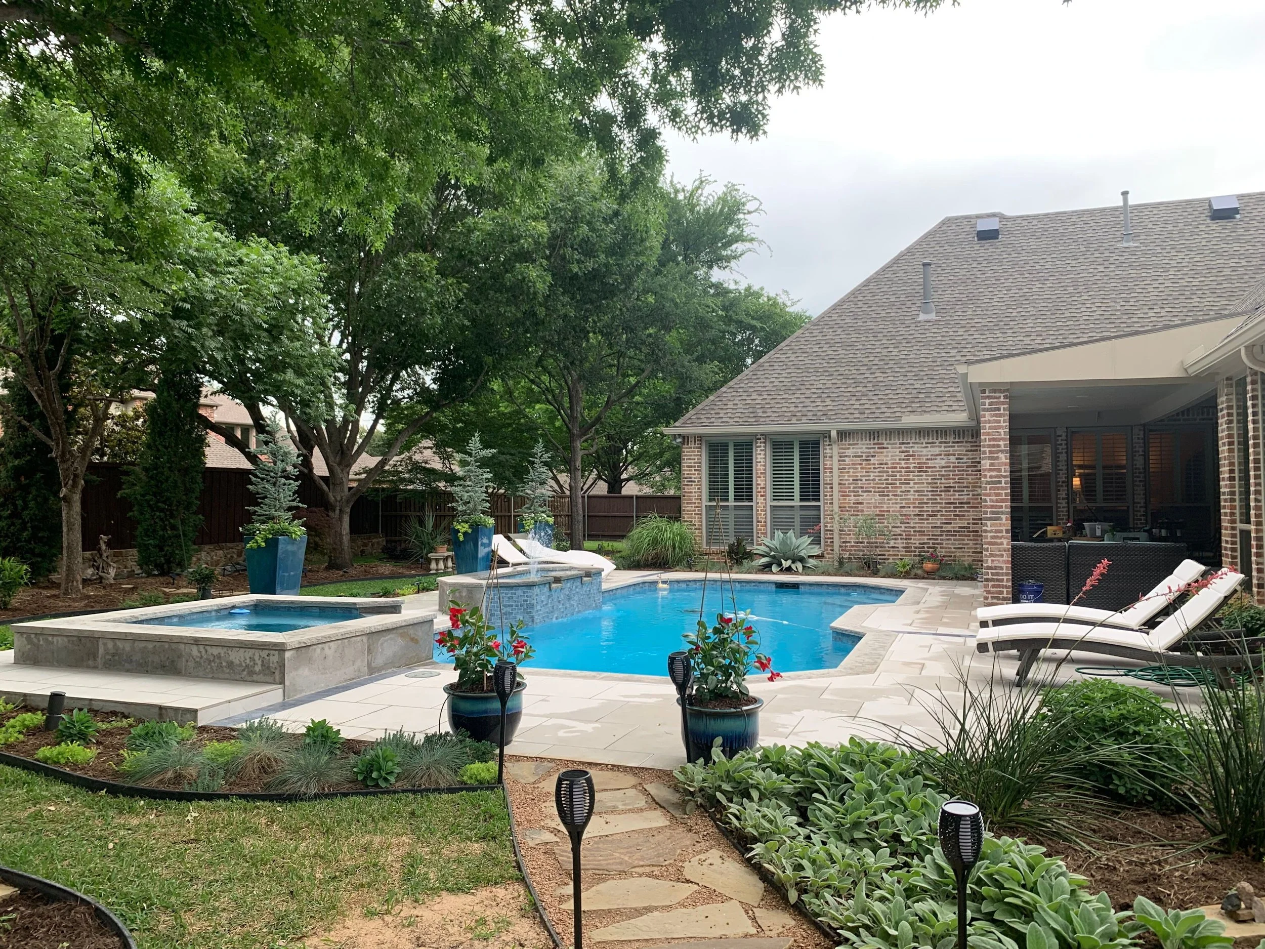 Landscape: Installation of tall mature Juniper Taylors for privacy year round and various sedums to soften the edges of the modern pool deck