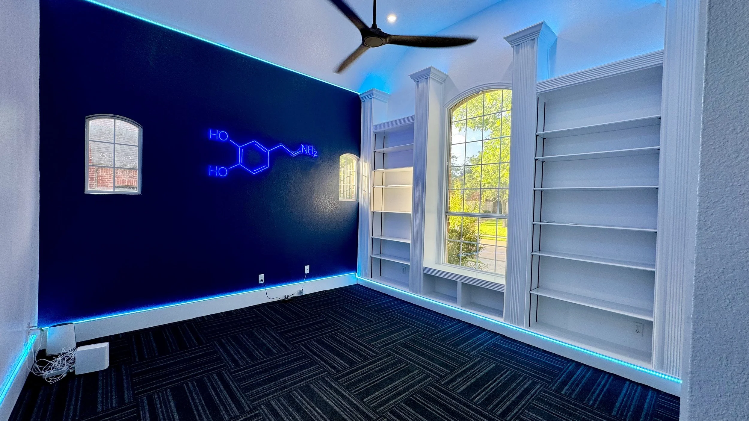 Study: Vibrant blue accent wall featuring a custom organic chemistry molecule and integrated white shelving