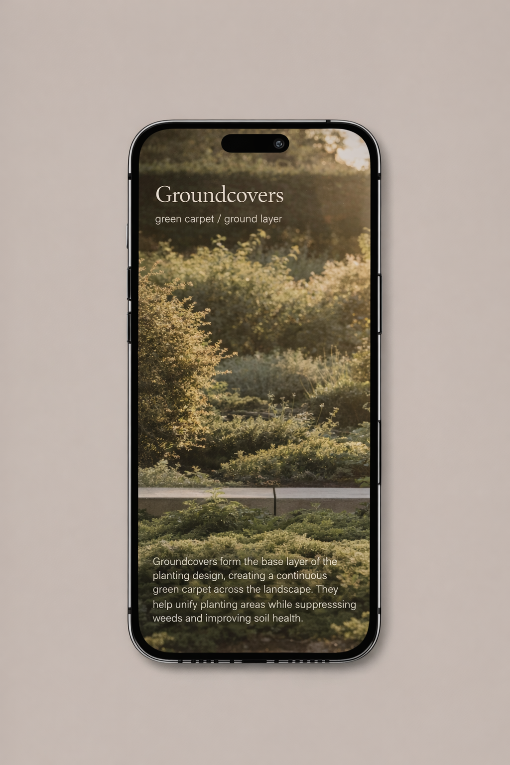 ChatGPT Image Mar 18, 2026, 03_17_46 PM.png