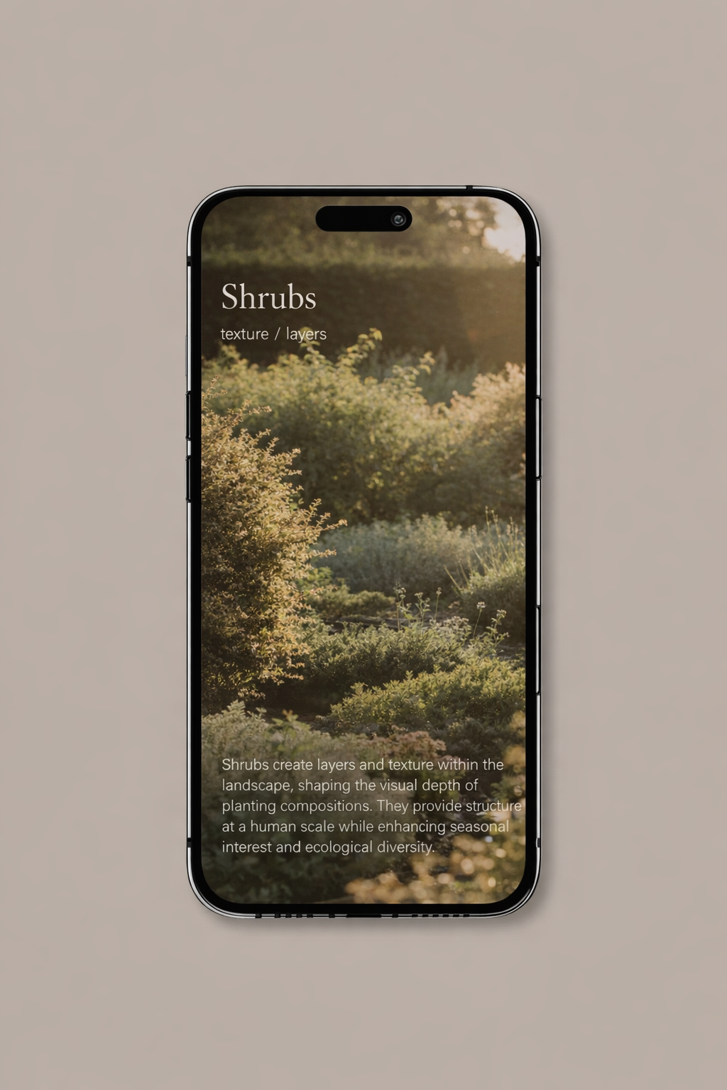 Planting Book Shrub Palette