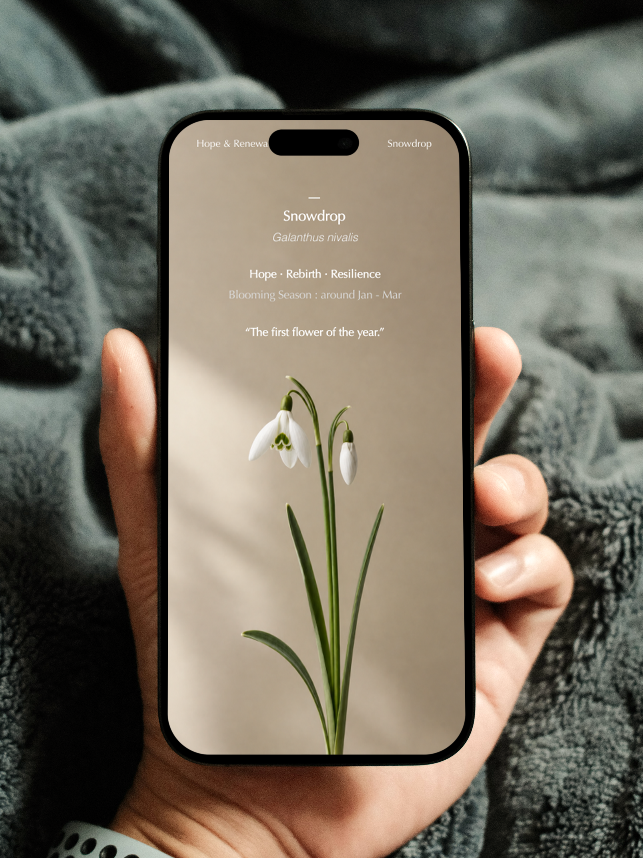 The Healing Garden - Website - Free Hand.png
