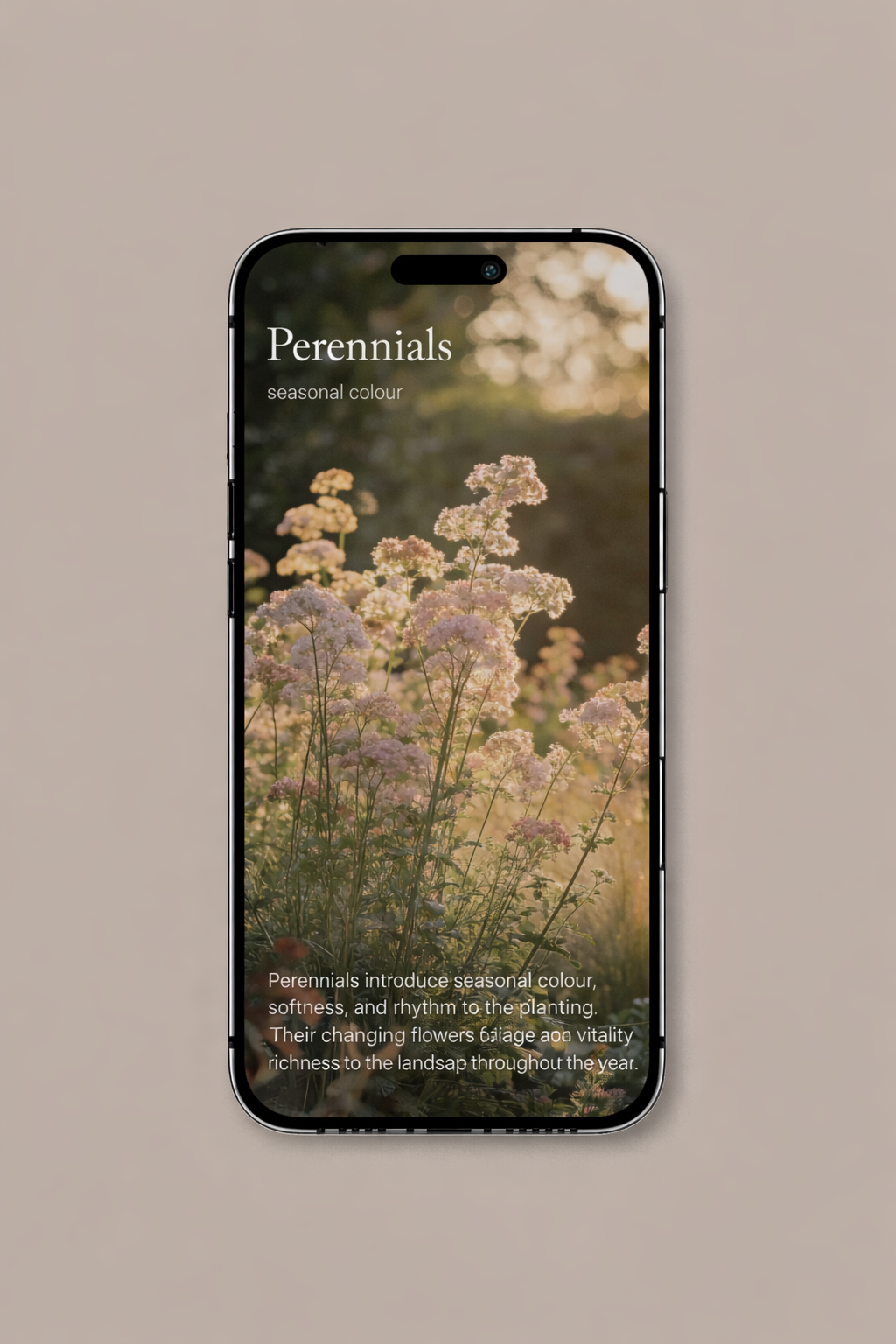 ChatGPT Image Mar 18, 2026, 11_05_51 AM.png