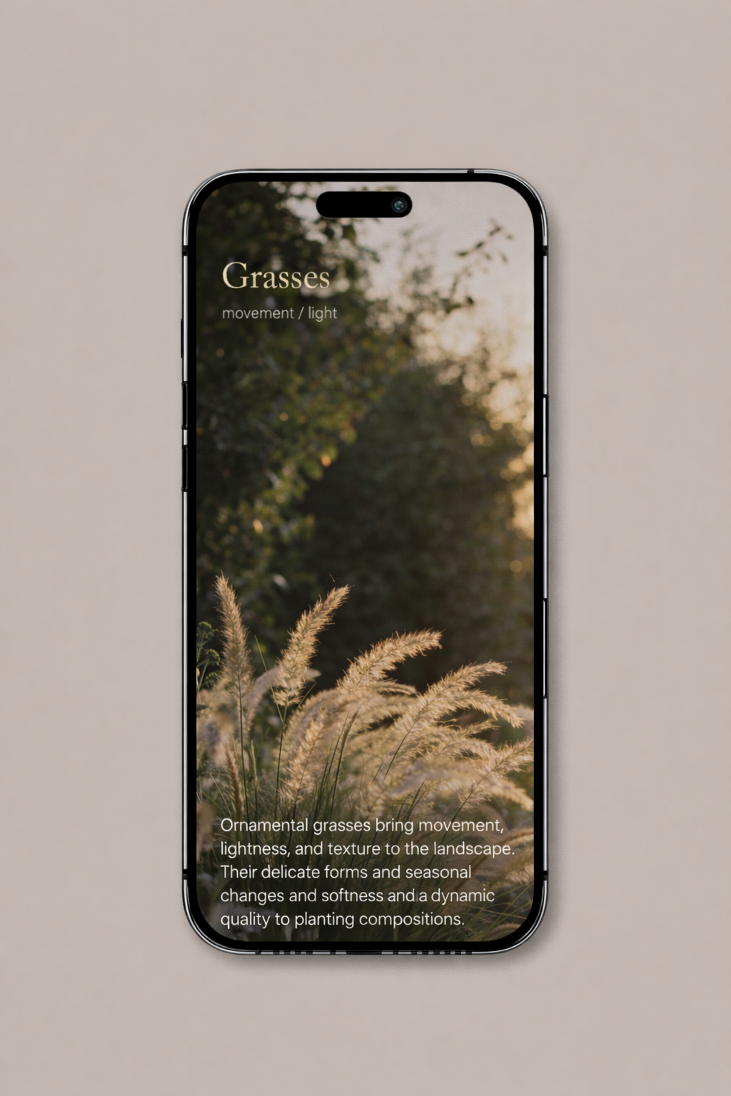 ChatGPT Image Mar 18, 2026, 03_19_25 PM.png