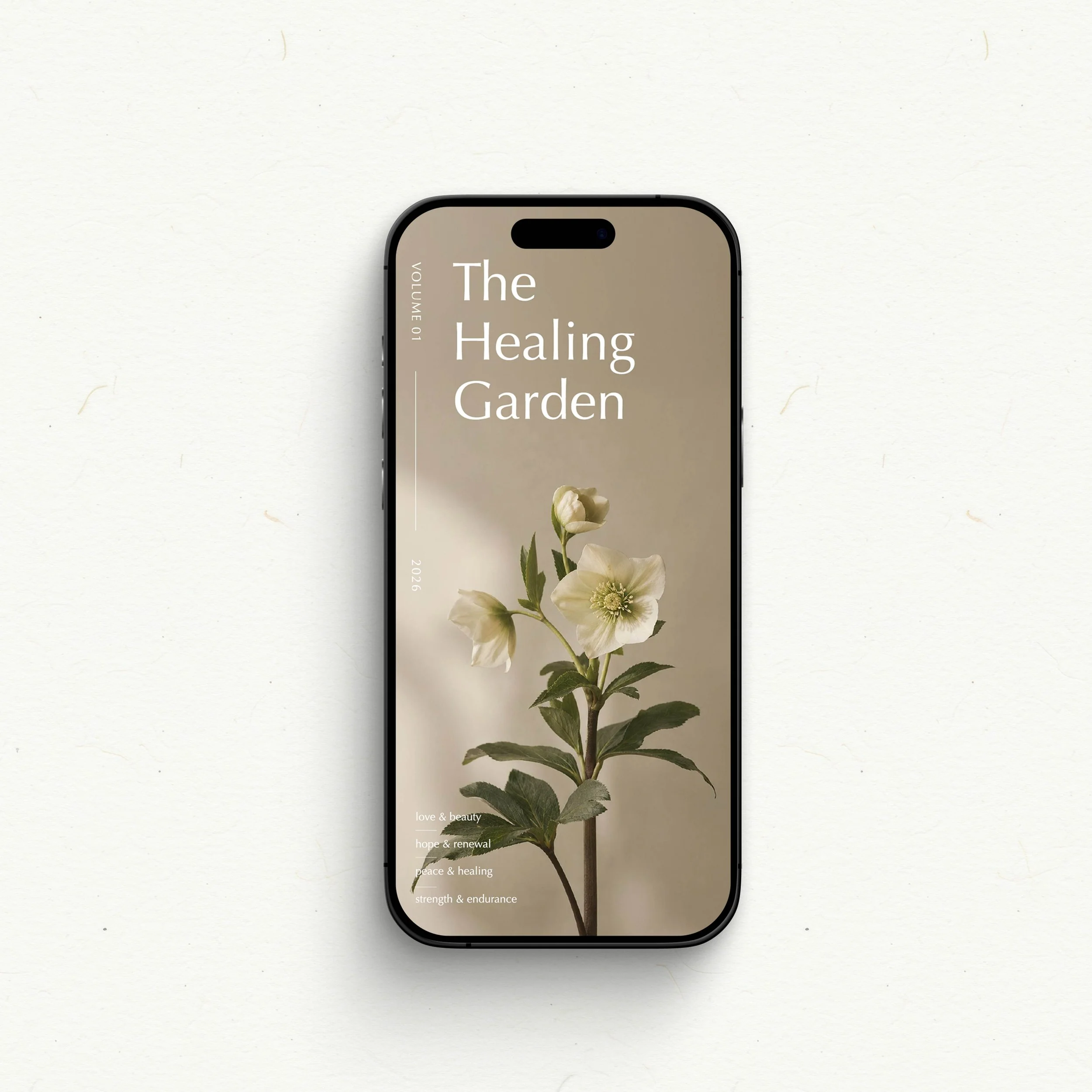 Website - Product images Square copy.jpg