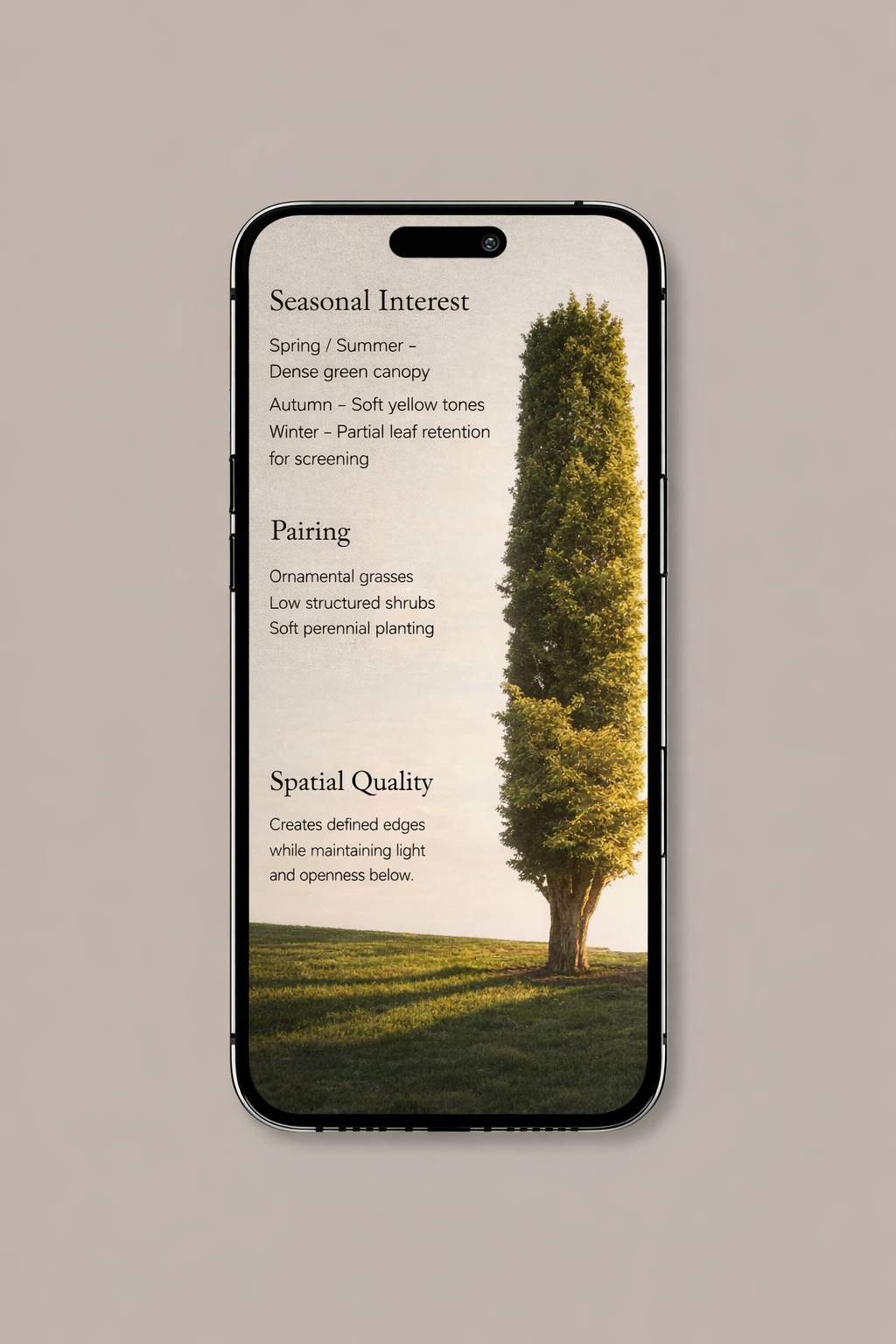 ChatGPT Image Mar 18, 2026, 10_38_27 AM.png