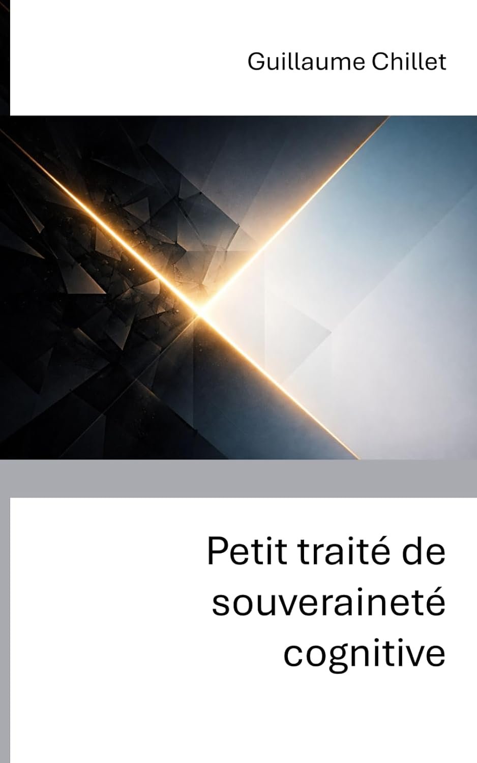 Petit traité de souverainté cognitive