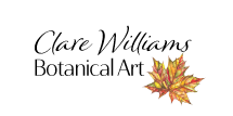Clare Williams Botanical Art