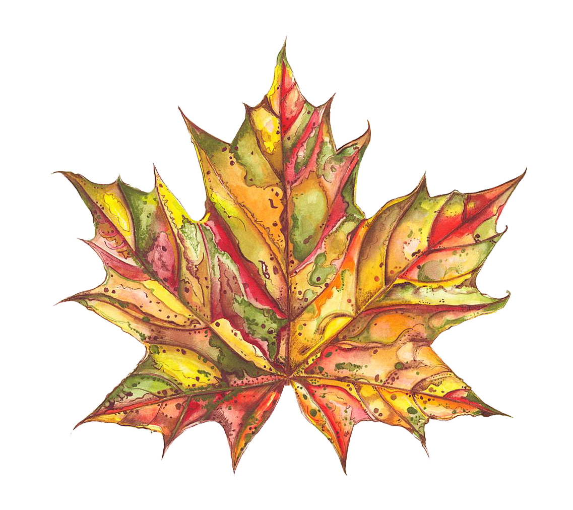 Handpainted Maple Leaf Art Print