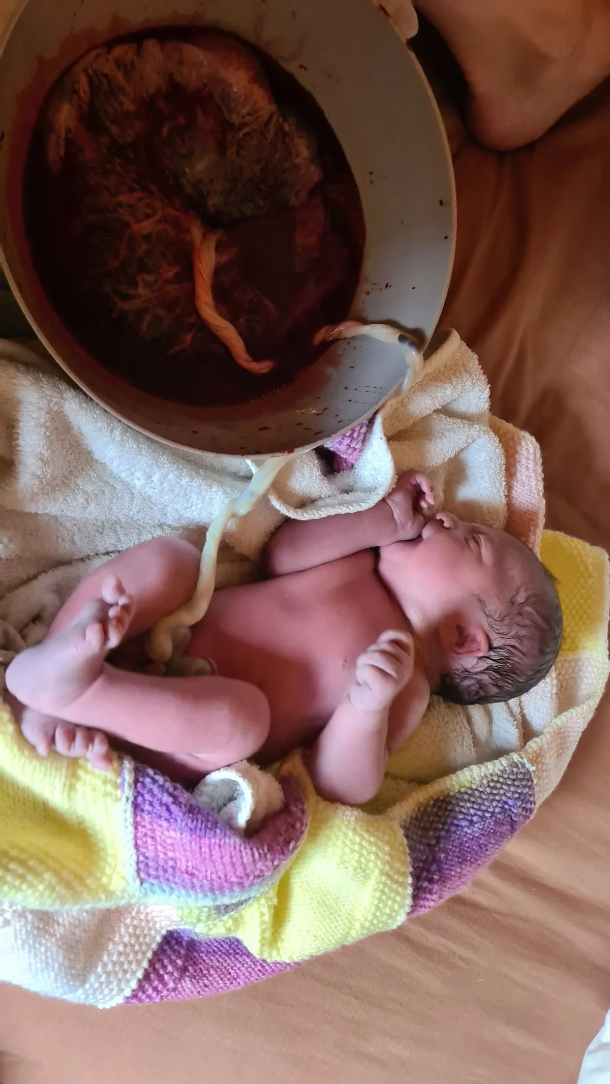 newborn baby surrounded by towels, lying next to placenta with umbilical cord still attached. Photo taken by Your Doula Aurelia, a birth and postnatal doula based in North Colchester and offering support across Essex and Suffolk
