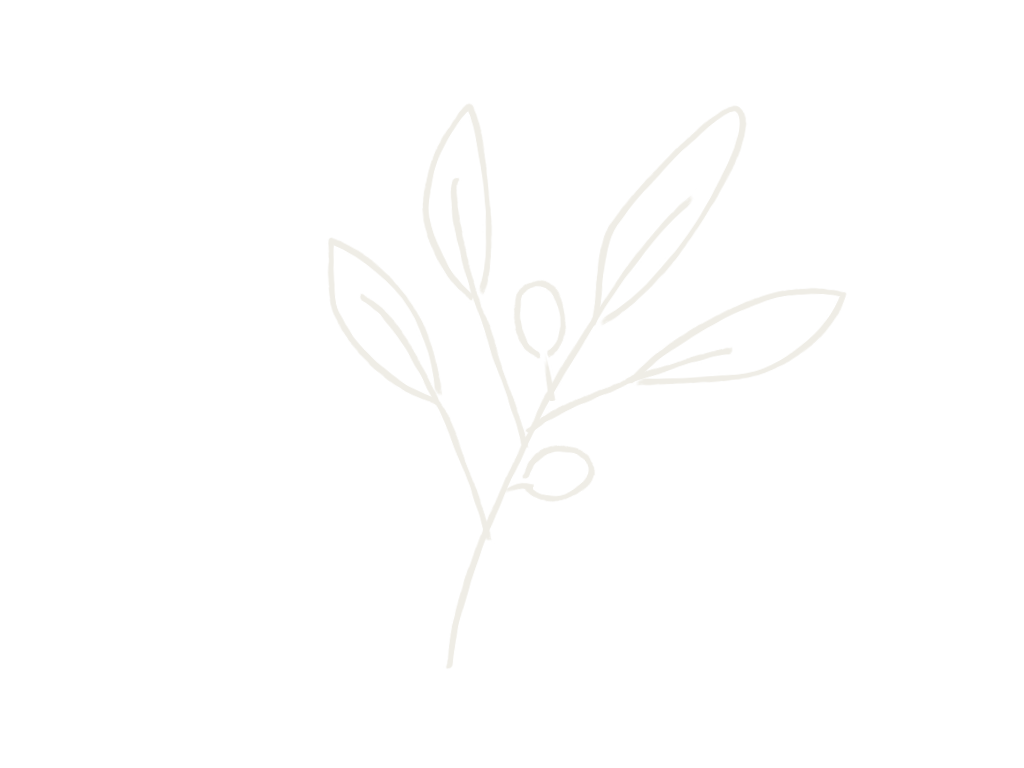 Olivier symbolisant l'engagement écologique du studio Valla & Long, cabinet d'architecture d'intérieur à Barcelone et Paris