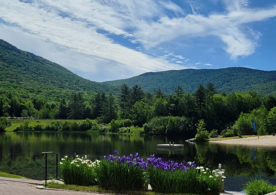 A serene lake surrounded by lush green trees and mountains, with a small sandy beach area and colorful flowers in the foreground under a partly cloudy sky.