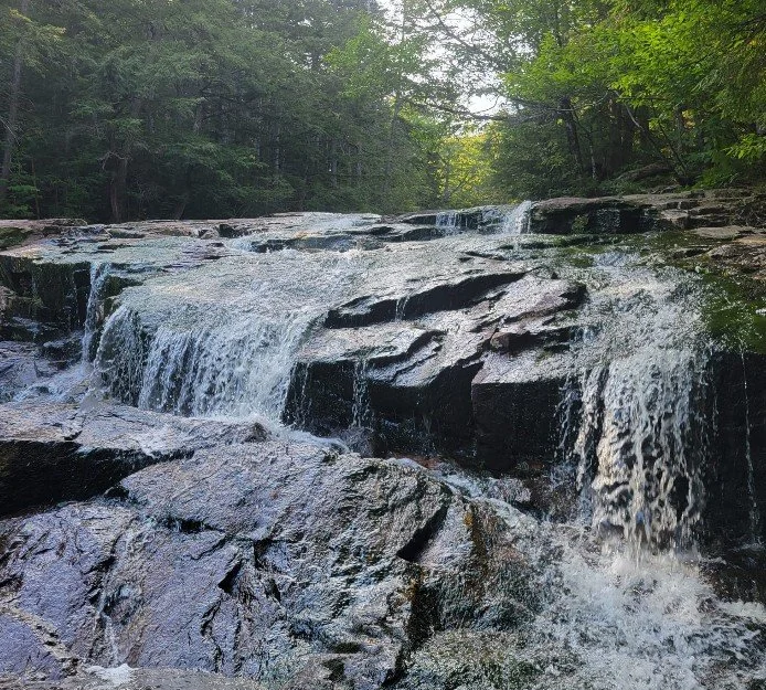 A small waterfall cascading over layered rocks in a lush green forest.