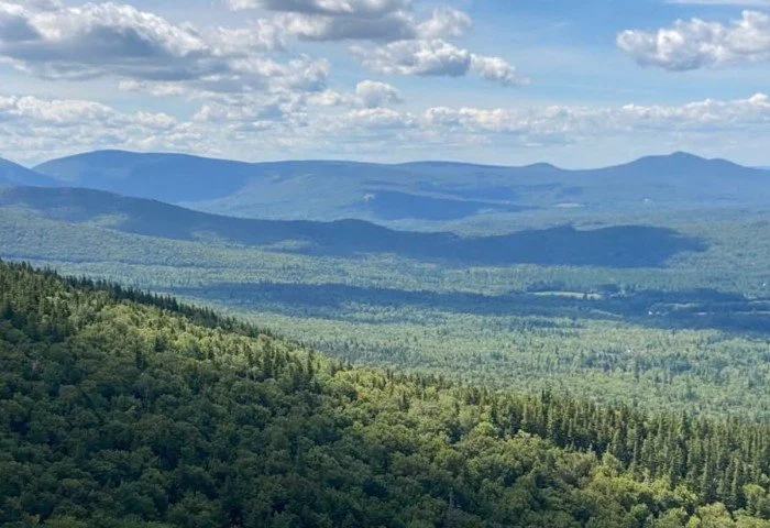 A scenic view of green rolling hills and distant mountains under a partly cloudy sky.