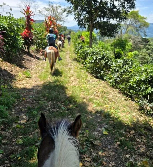 People riding horses along a dirt path through greenery and flowers, with a scenic landscape in the background.
