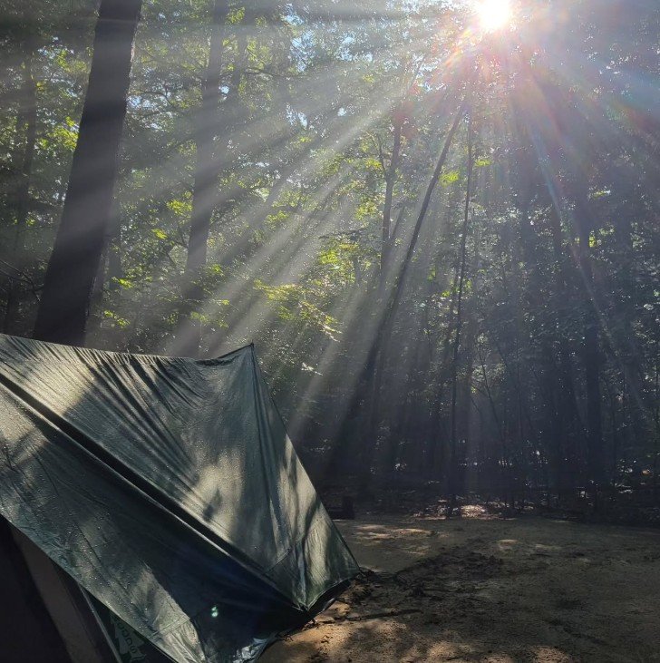Sunlight streaming through trees onto a forest campsite with a partially visible tent.