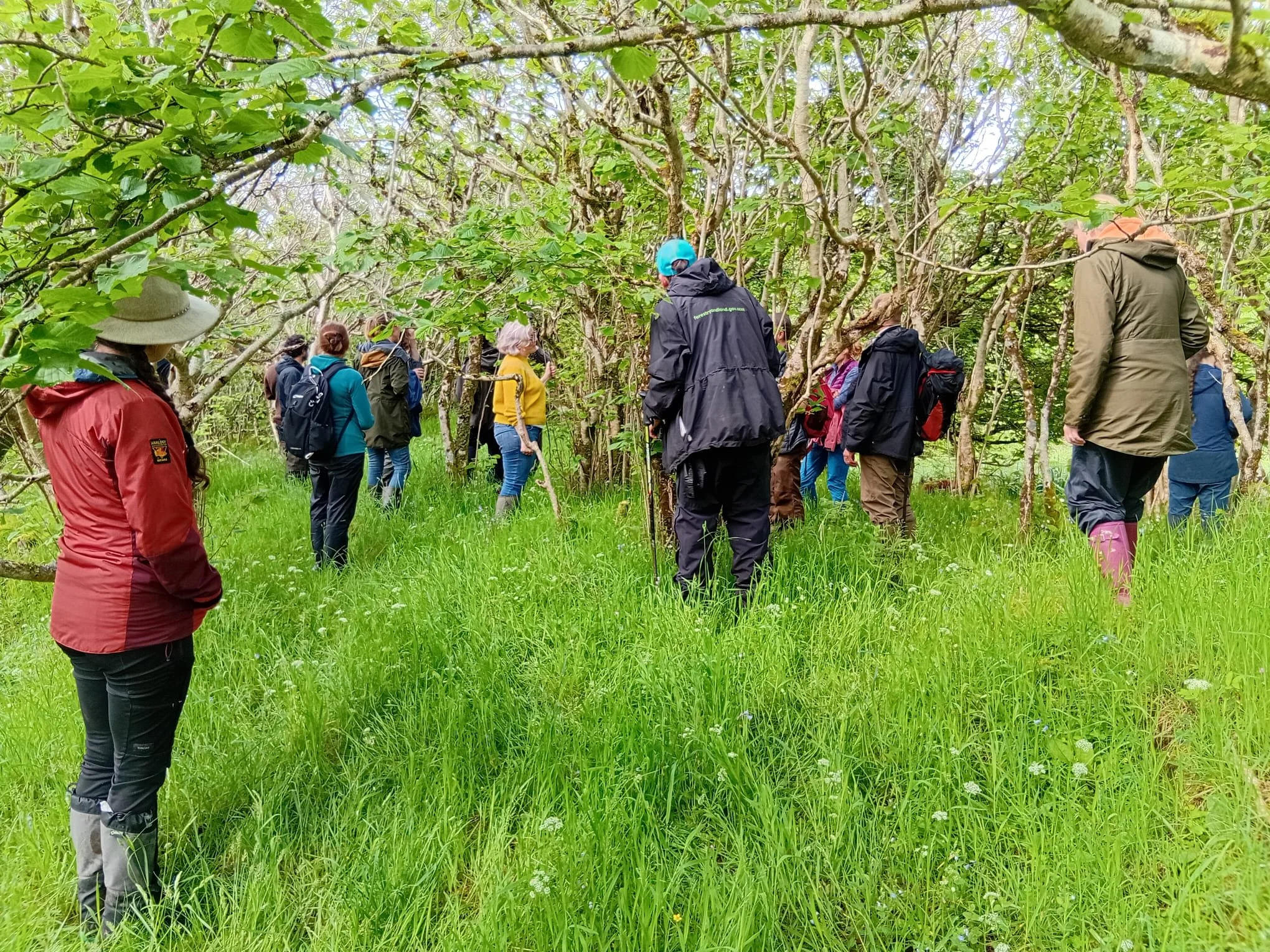 Learning from Nature-Friendly Grazing