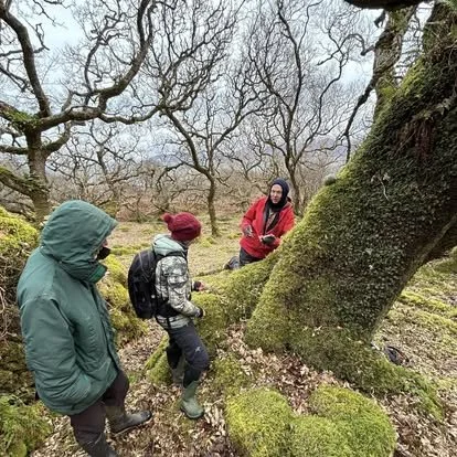 Oliver Moore (lichen and bryophyte expert with Plantlife Scotland) showing volunteers what to see on an ancient oak tree E Kintyre
